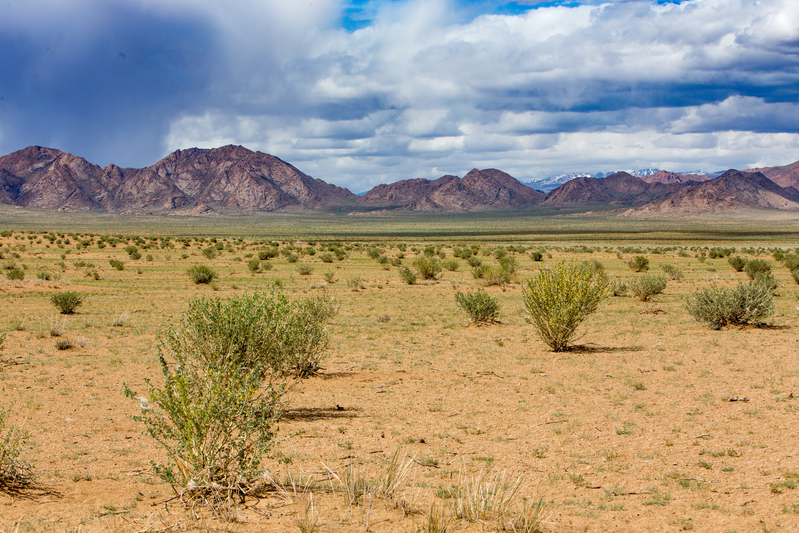 Монголия. Творческие сьемки