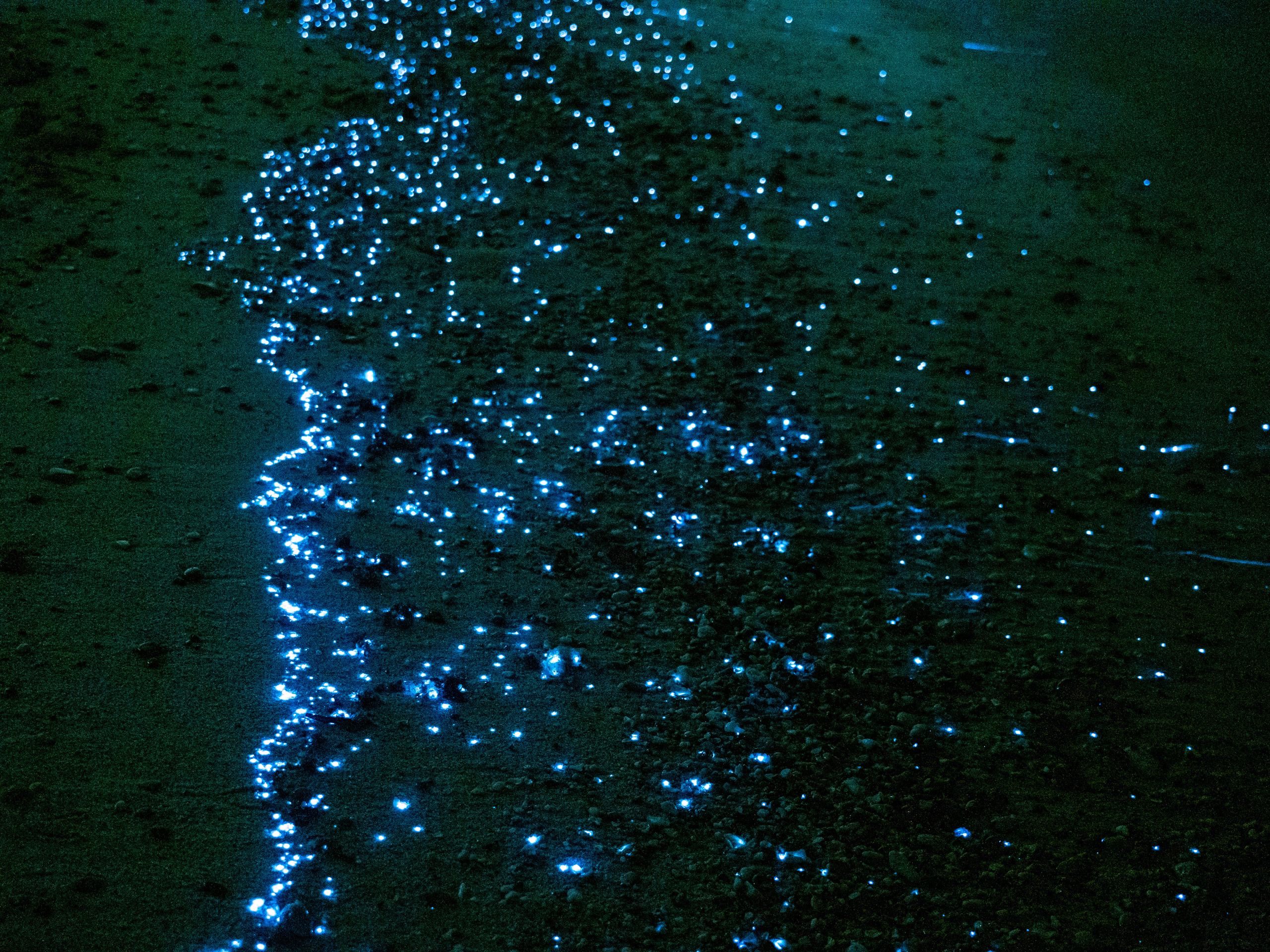 Оман. Творческие сьемки