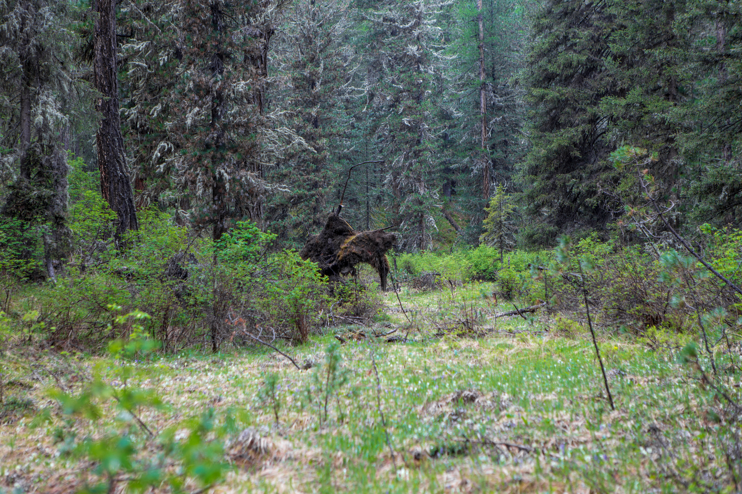 Алтай. Творческие сьемки