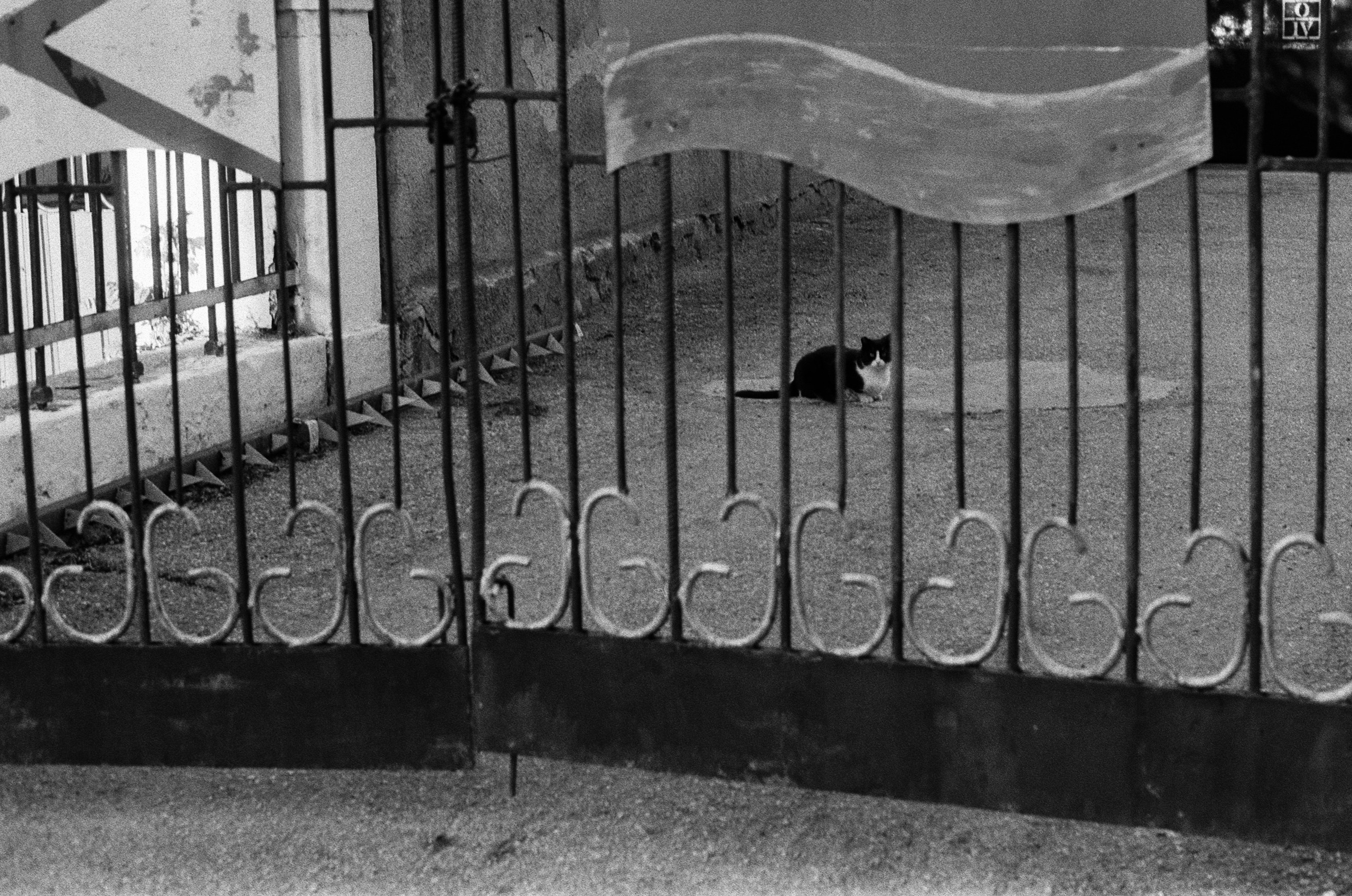 Oblomki chuvstv // ukraine, crimea V. EVER EXPOSED