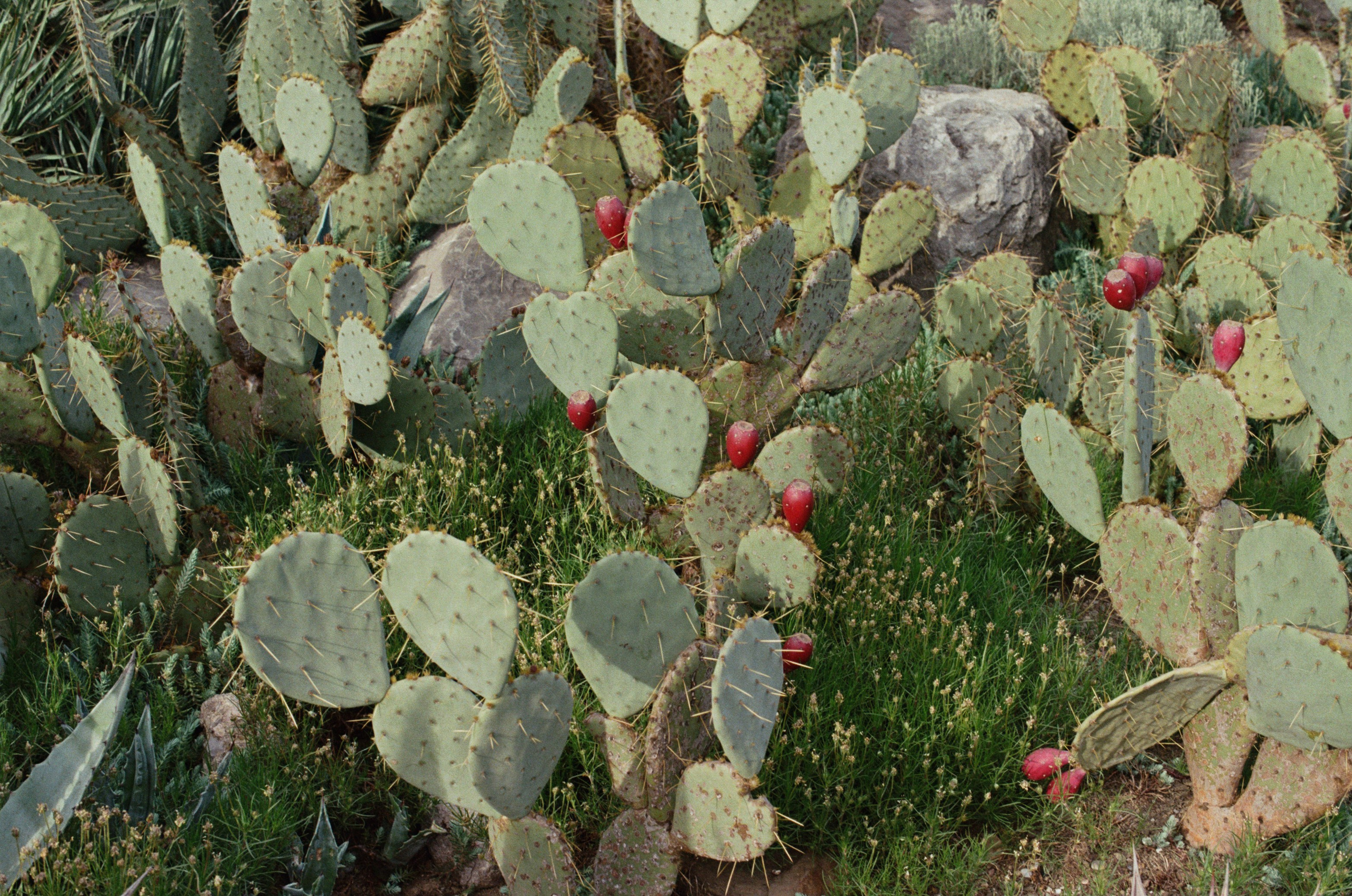 This time // ukraine, crimea III. EVER EXPOSED