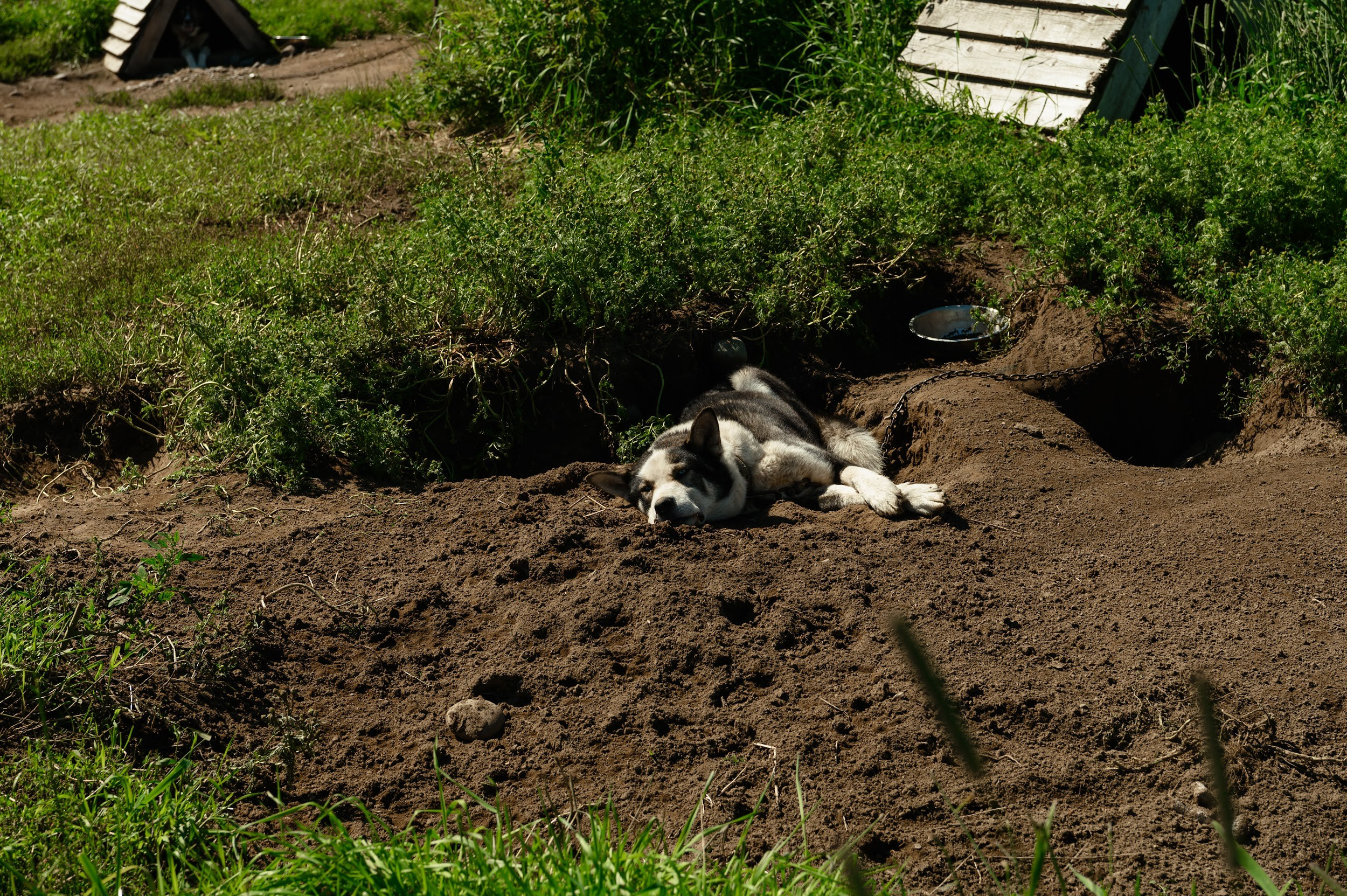Камчатка 08.2024. Фотограф Марина Росси