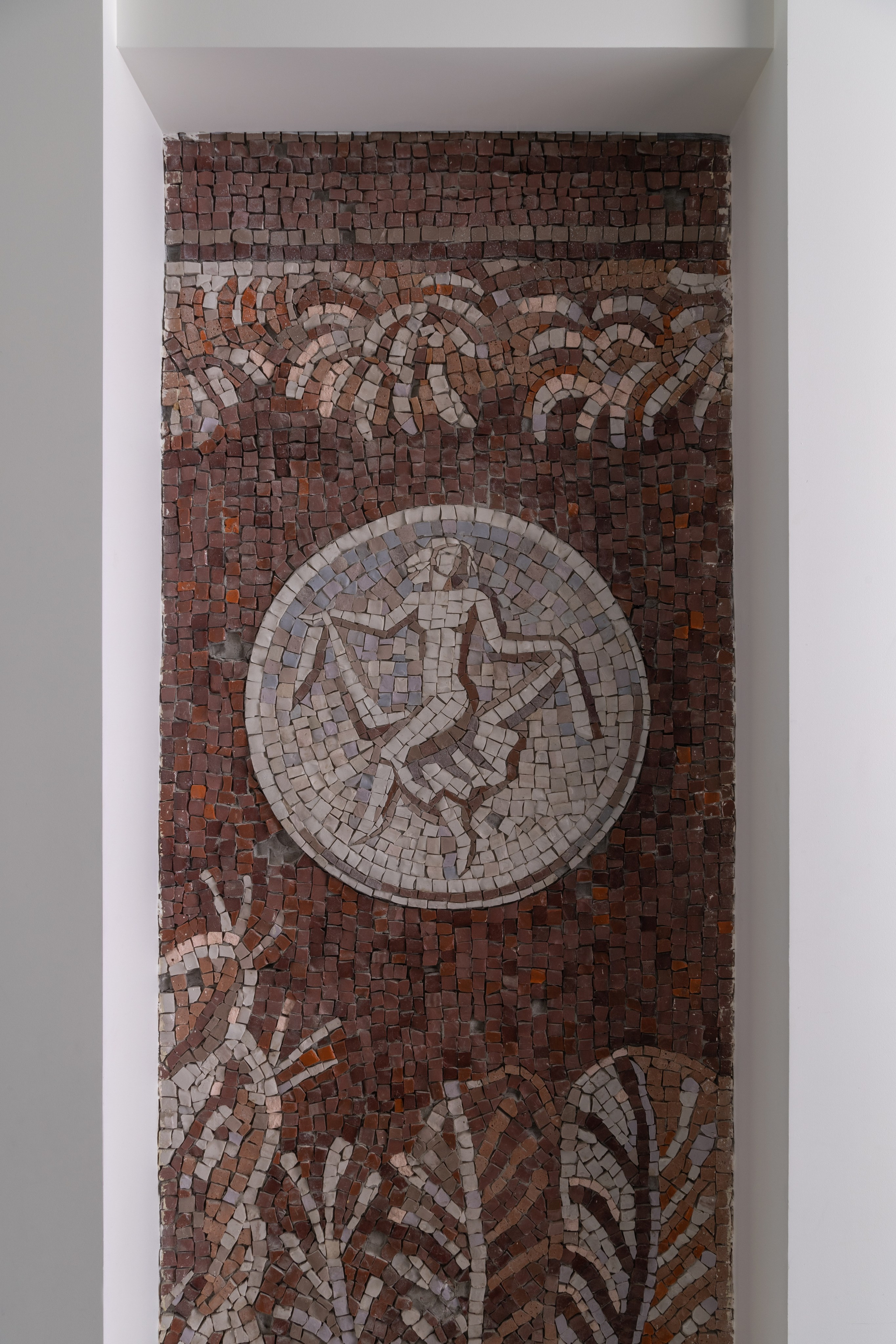 Фотостудия 251. Дизайнер интерьеров