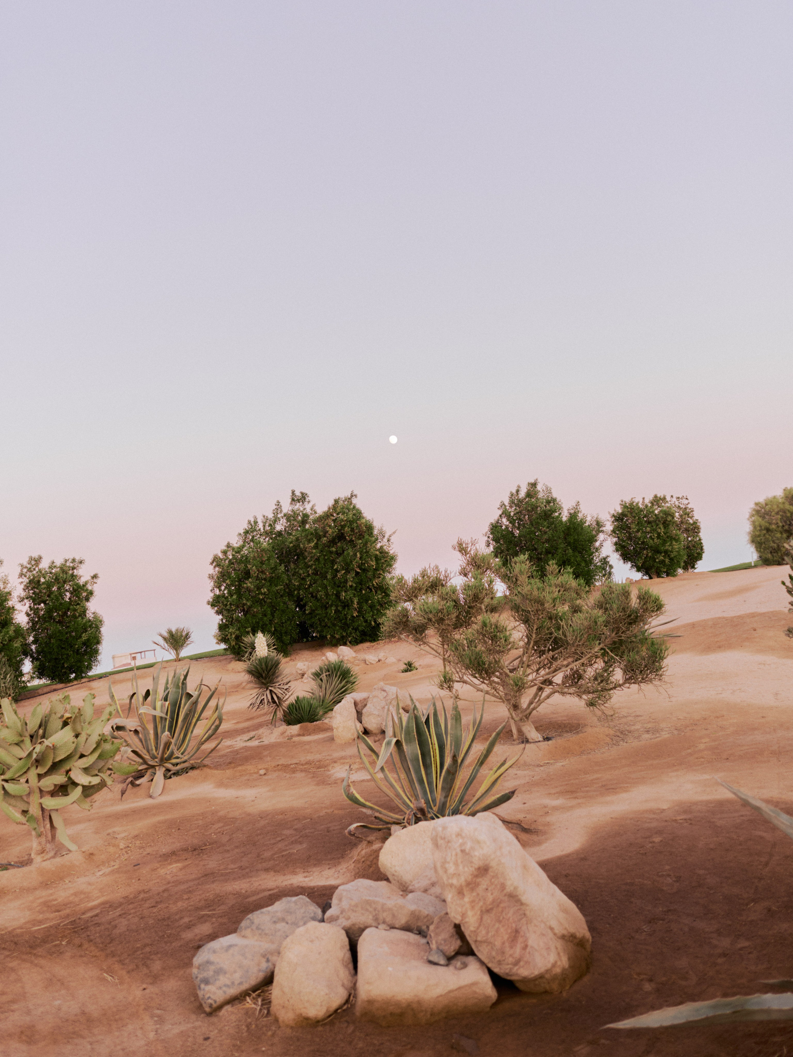 Другое 3. Jorgis Talè — photographer, kind person, teacher of arts and other mag