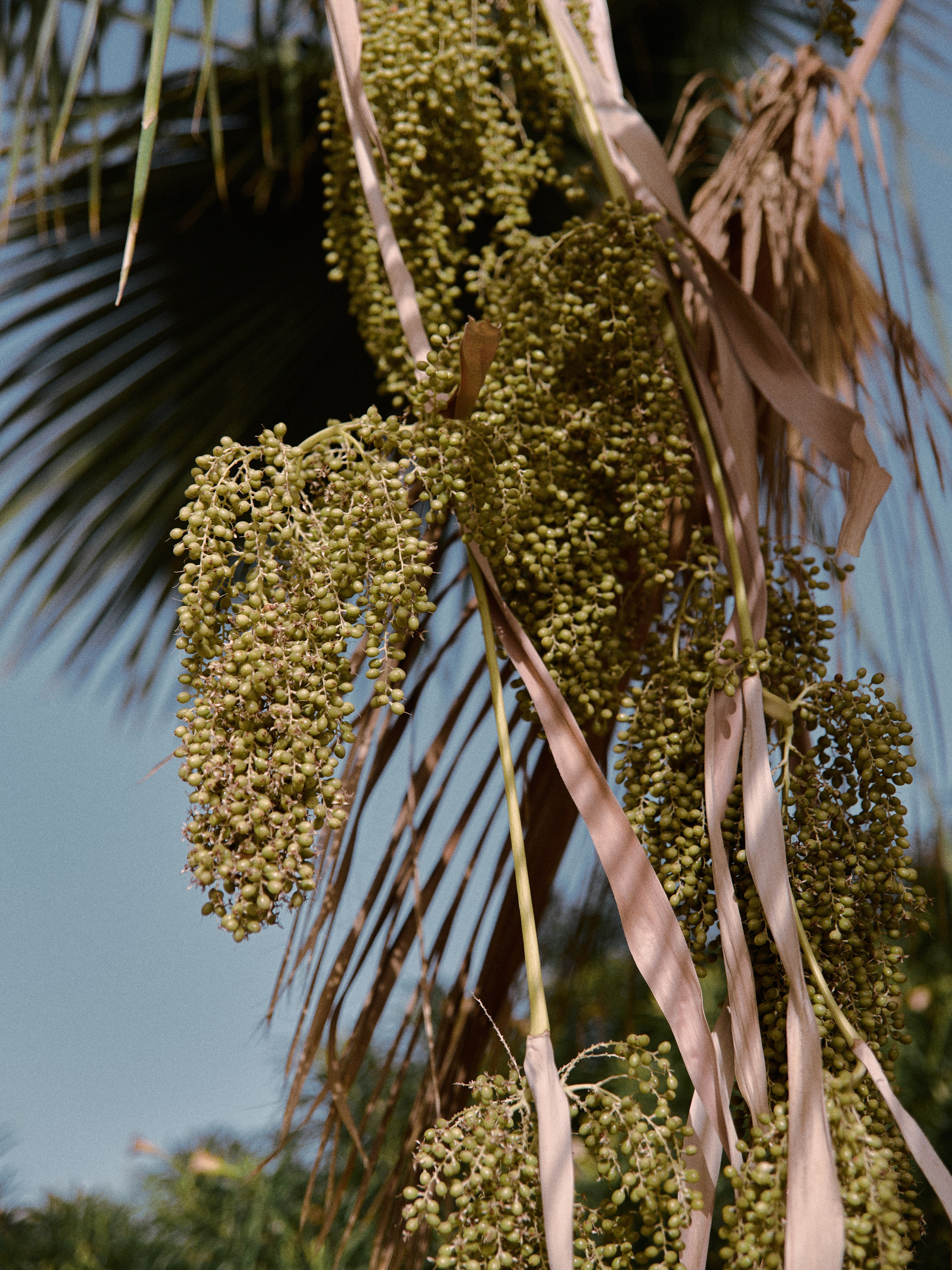 Природа. Jorgis Talè — photographer, kind person, teacher of arts and other mag