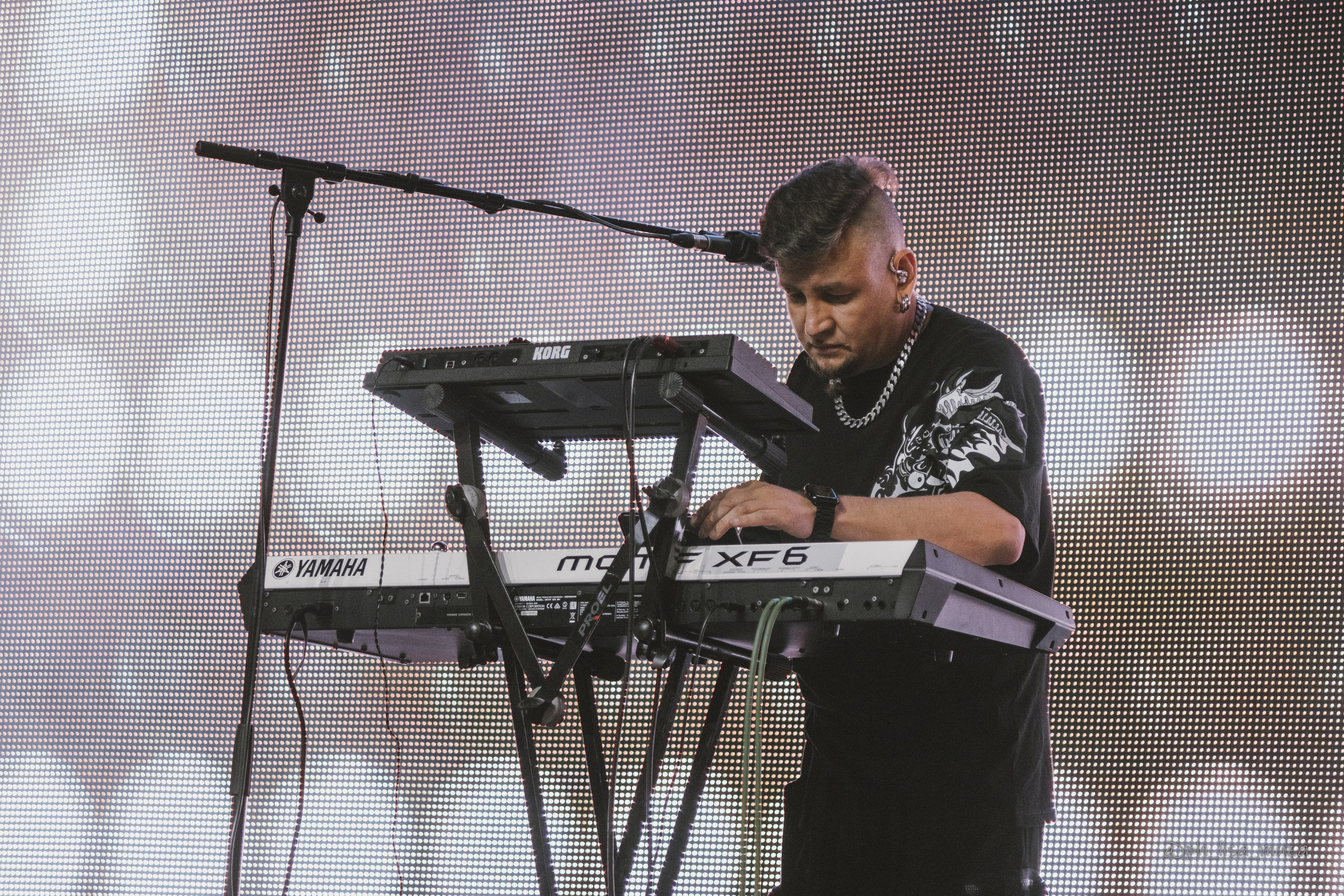 LikeCoverBand (июнь 2024). Ph_lisa_muza