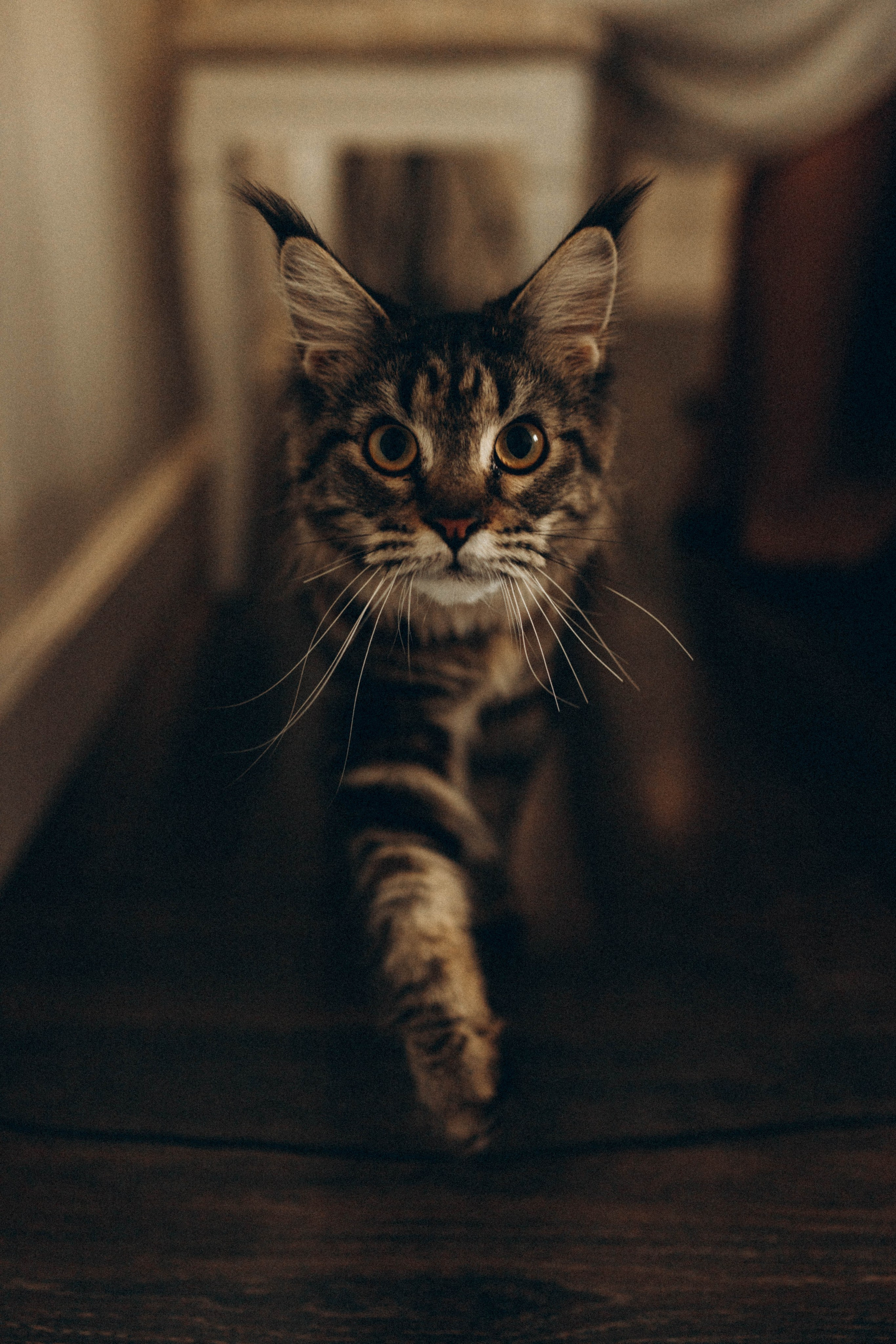 Преподаватель музыки