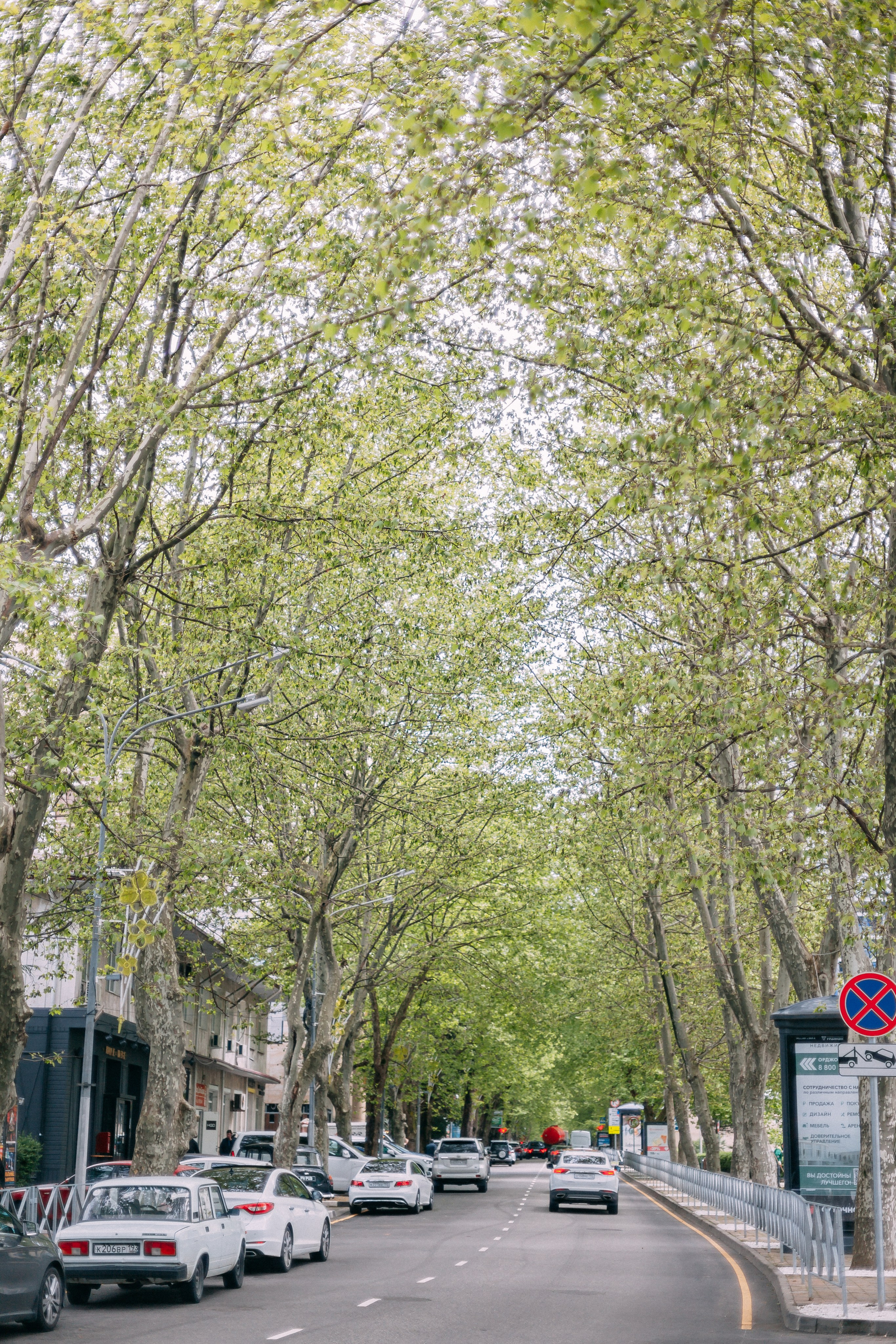 Сочи. Аня Степанова