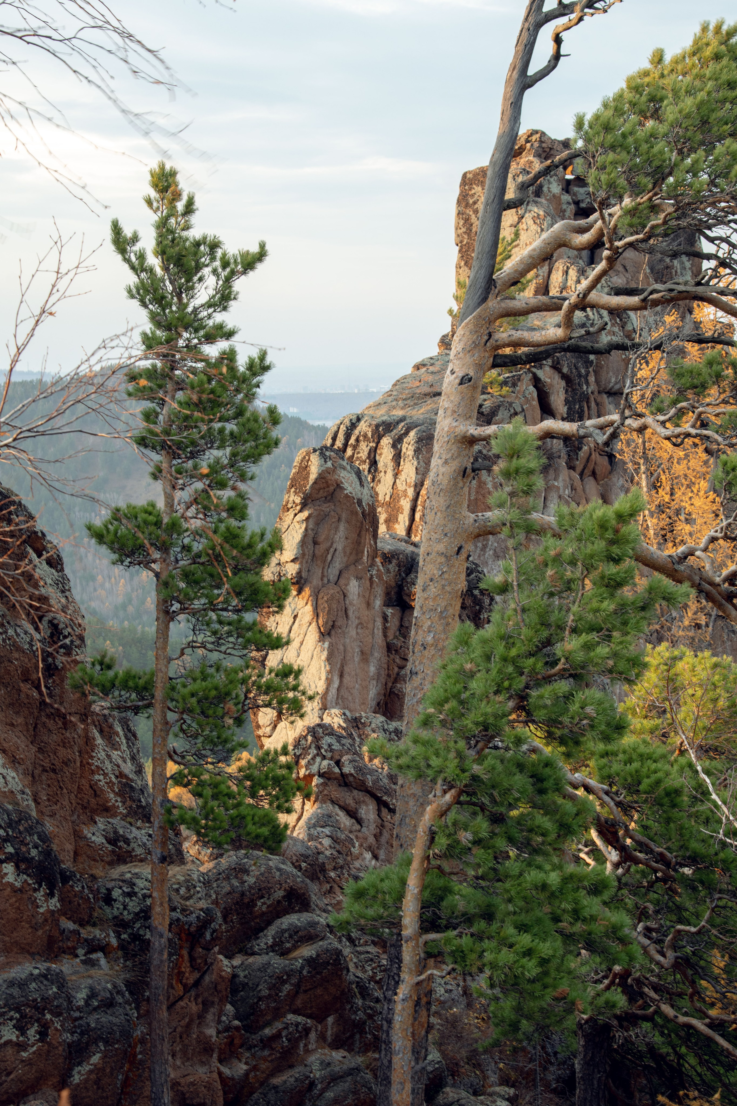 Природа. Александра Панина фотограф, портрет, семья, бизнес, Новосибирск