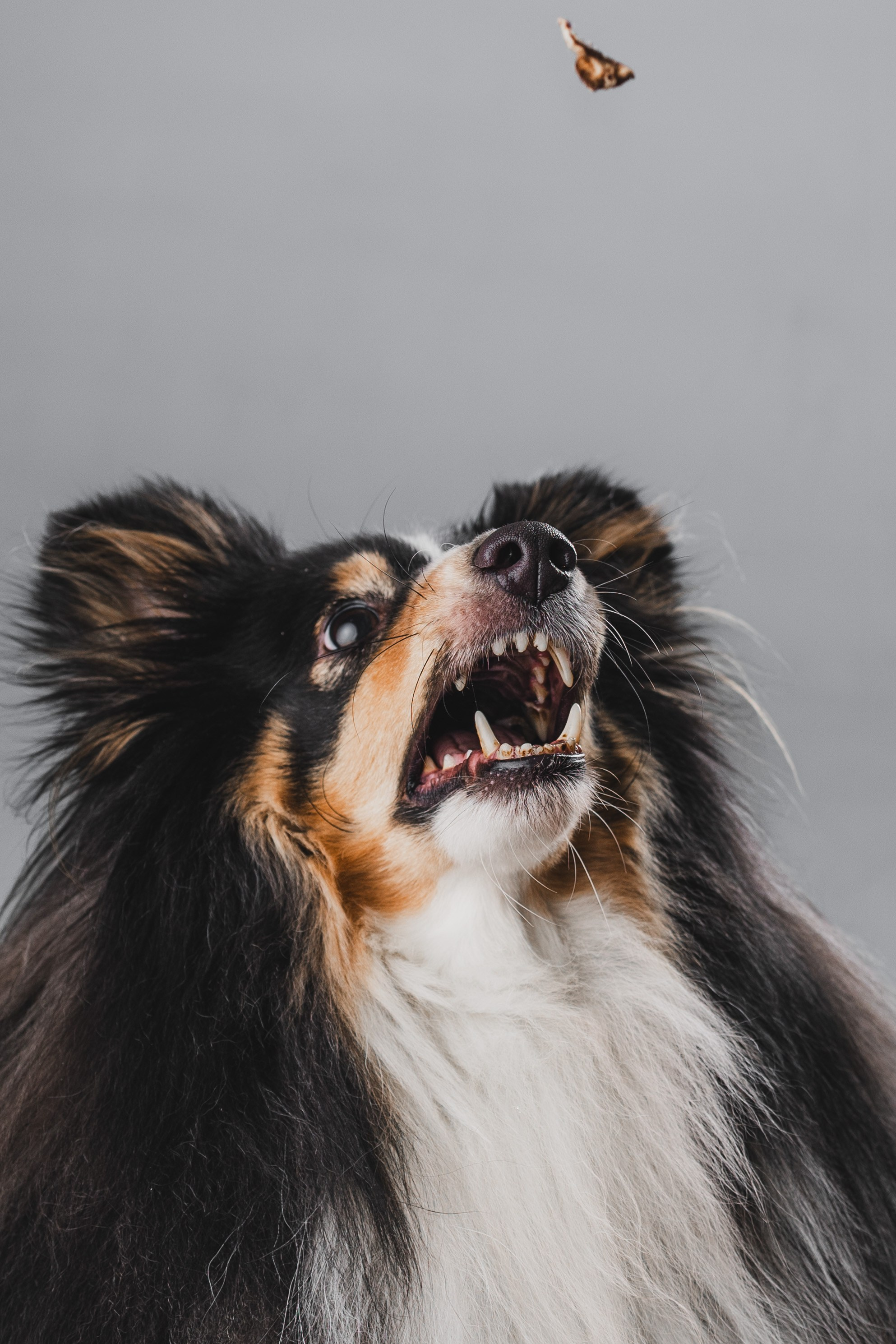 Воркшоп по импульсному свету