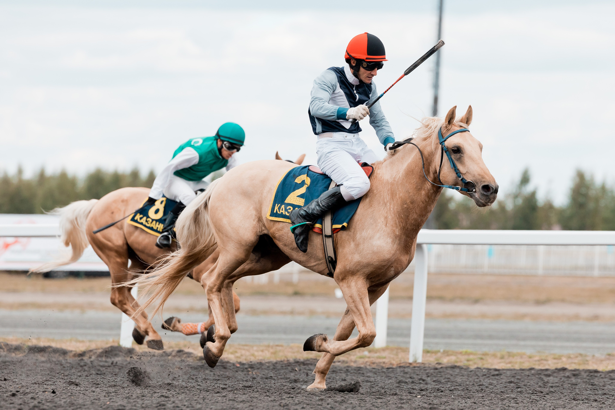 Репортаж. Фотограф Казань