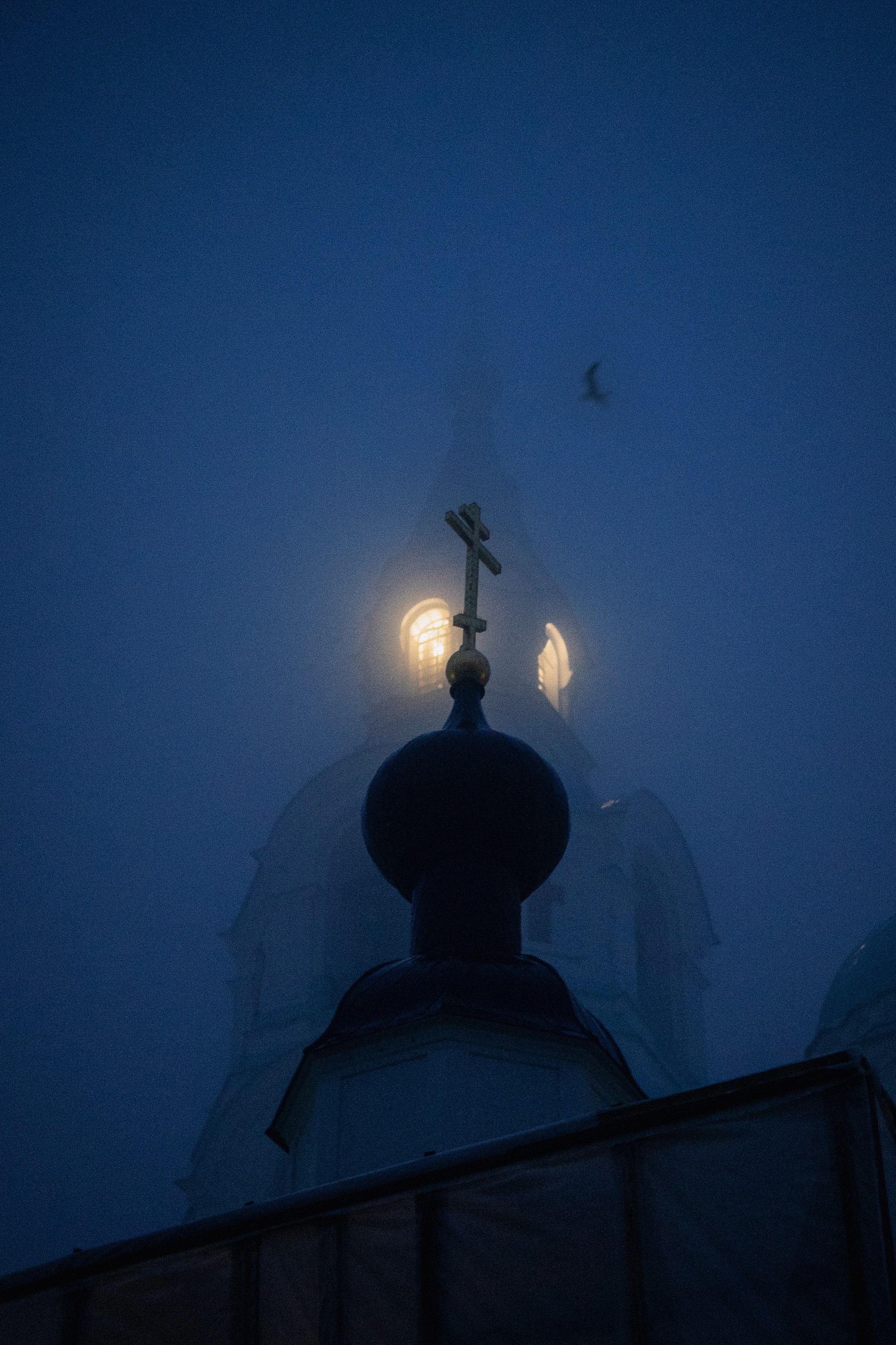 Природа. Трандин Иван Фотограф СПб