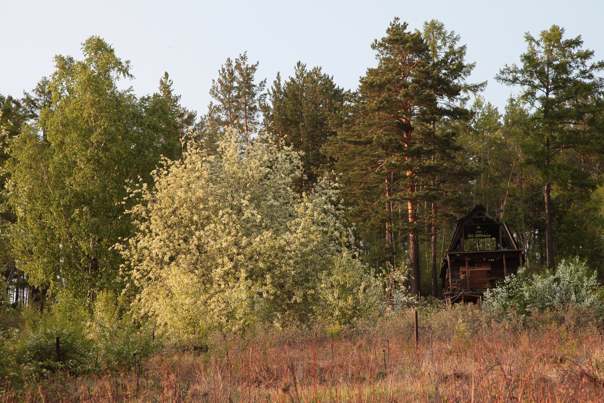 Фото Природы Забайкалья. Студия Максима Белослюдцева