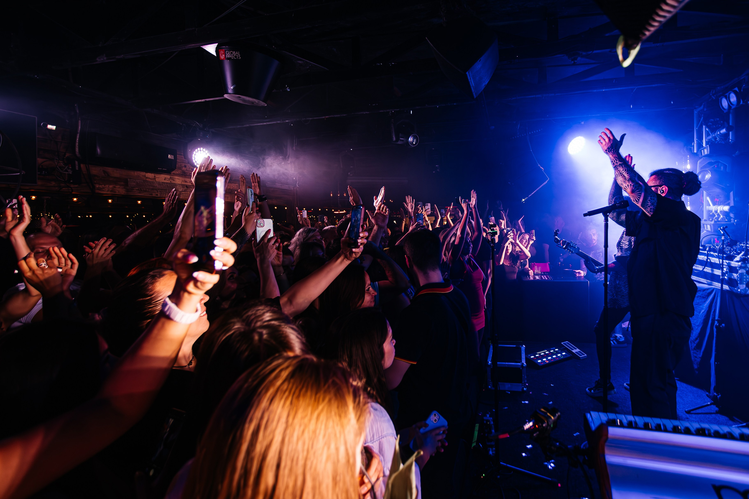 Бурито_Чайка_на_пляже_Ялта 23.08.2024. Аминов Руслан | Фотограф