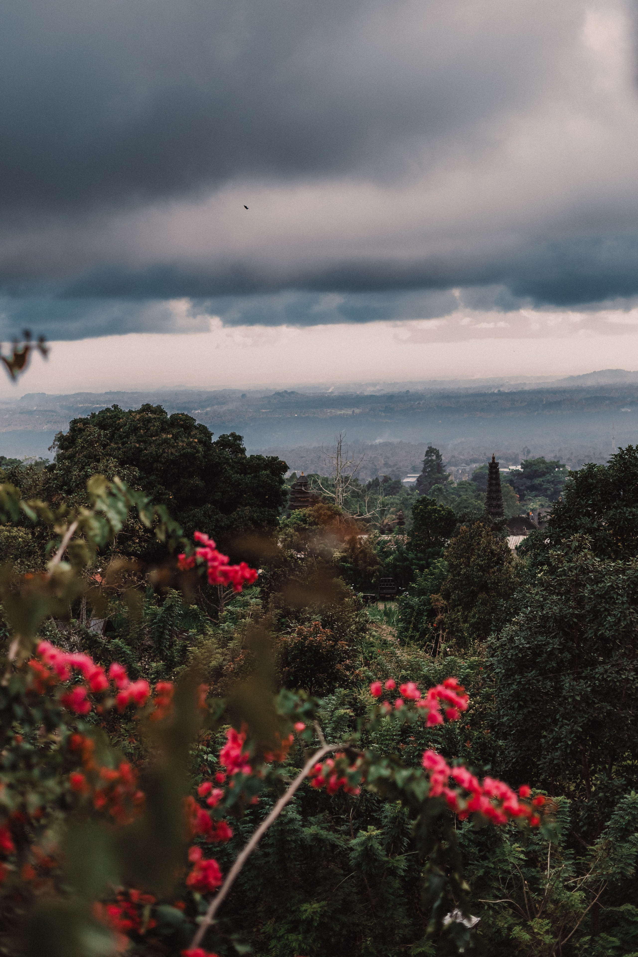 Sudakra. Мариам Багдасарян