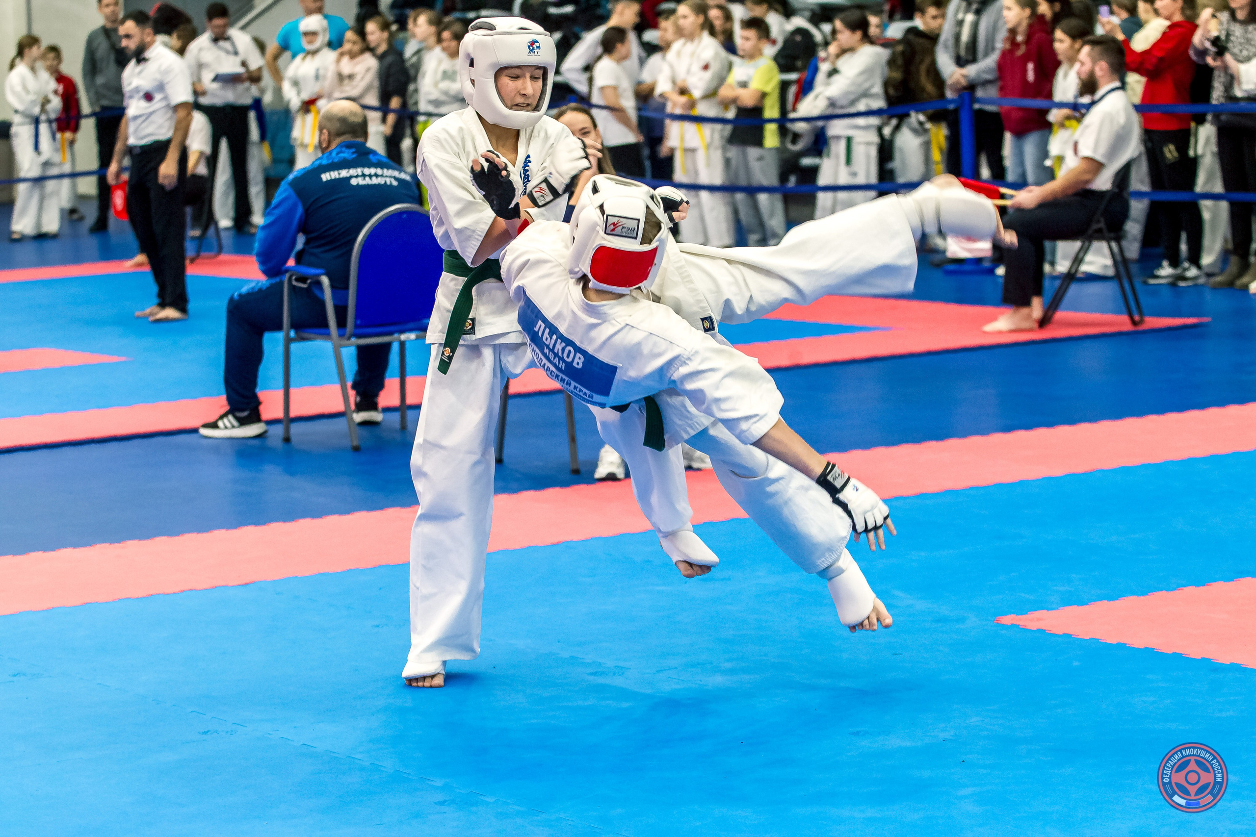 Соревнования по Киокушин памяти С. Увицкого. Репортажная съемка в Москве и области. Анималистика