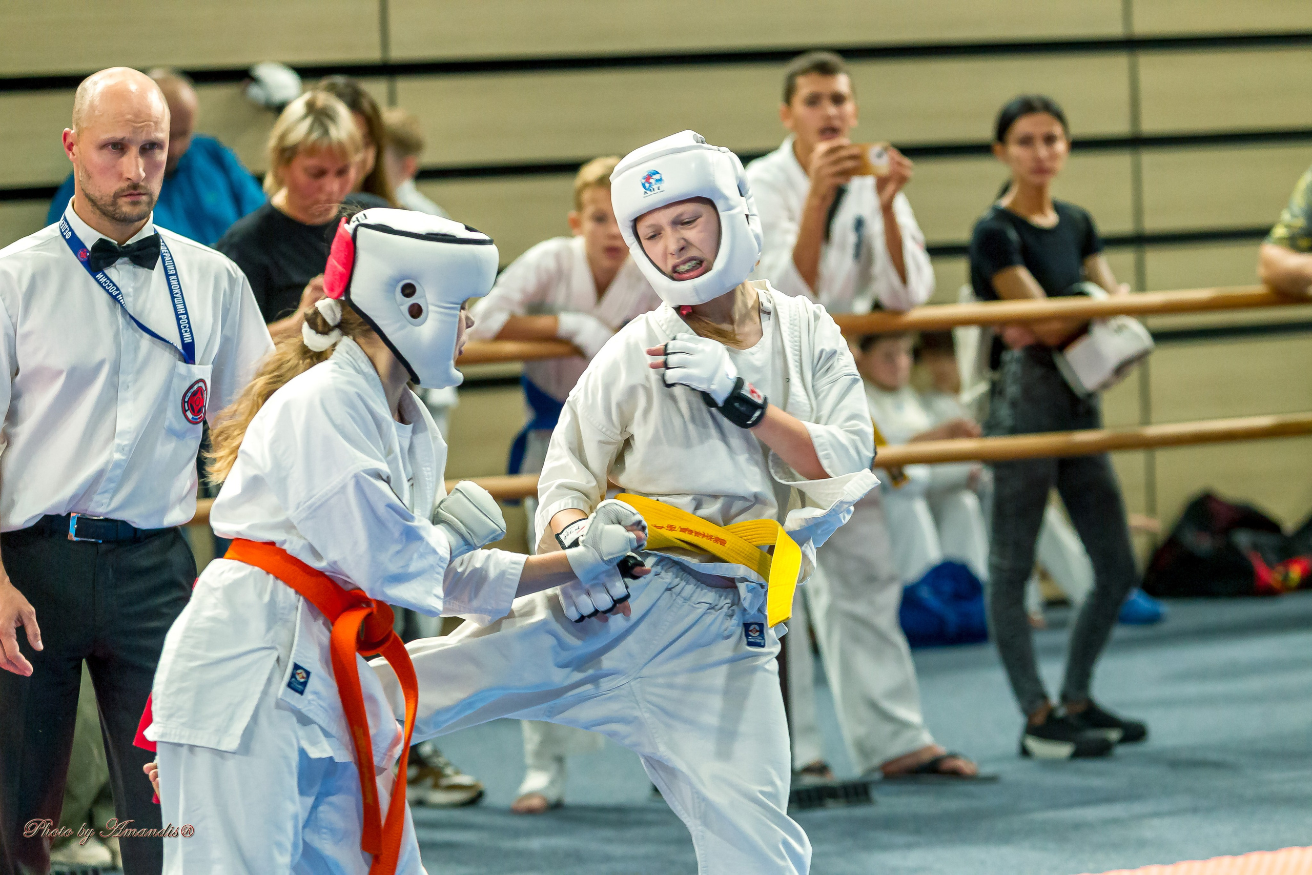 Первенство Московской области по Киокушин в СК «Жаворонки». Репортажная съемка в Москве и области. Анималистика