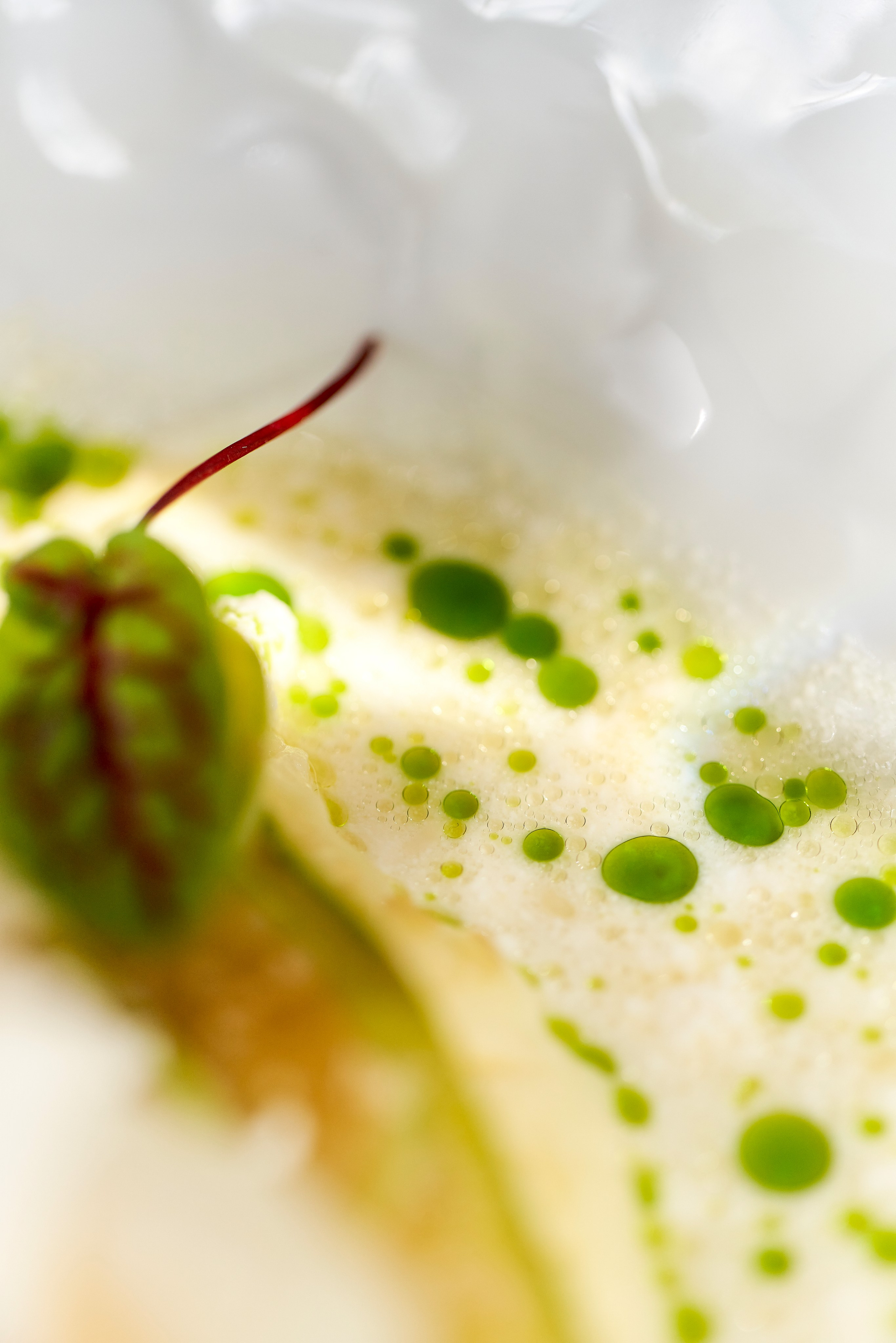 Ресторан «Murmansk». Контент фотограф в Москве Александр Хитько