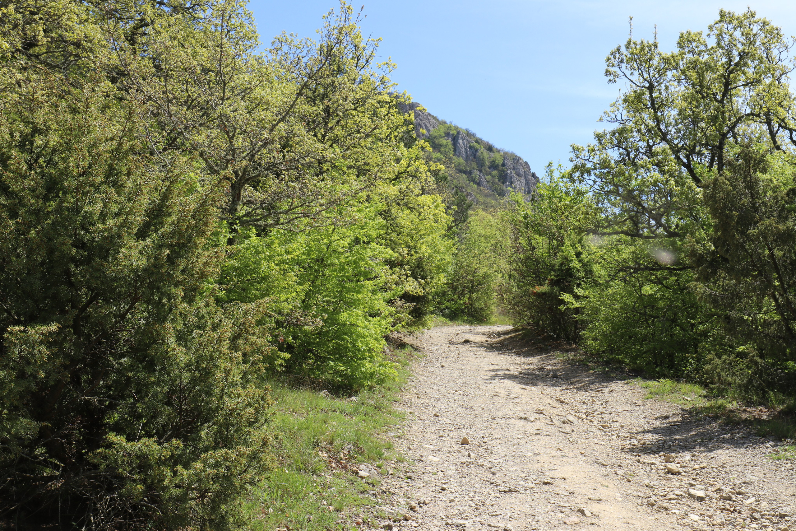 Крым. ЮБК (Севастополь, Кастрополь, Ялта). Май 2023. Путешественник-фотограф из Санкт-Петербурга Татьяна Свистулина