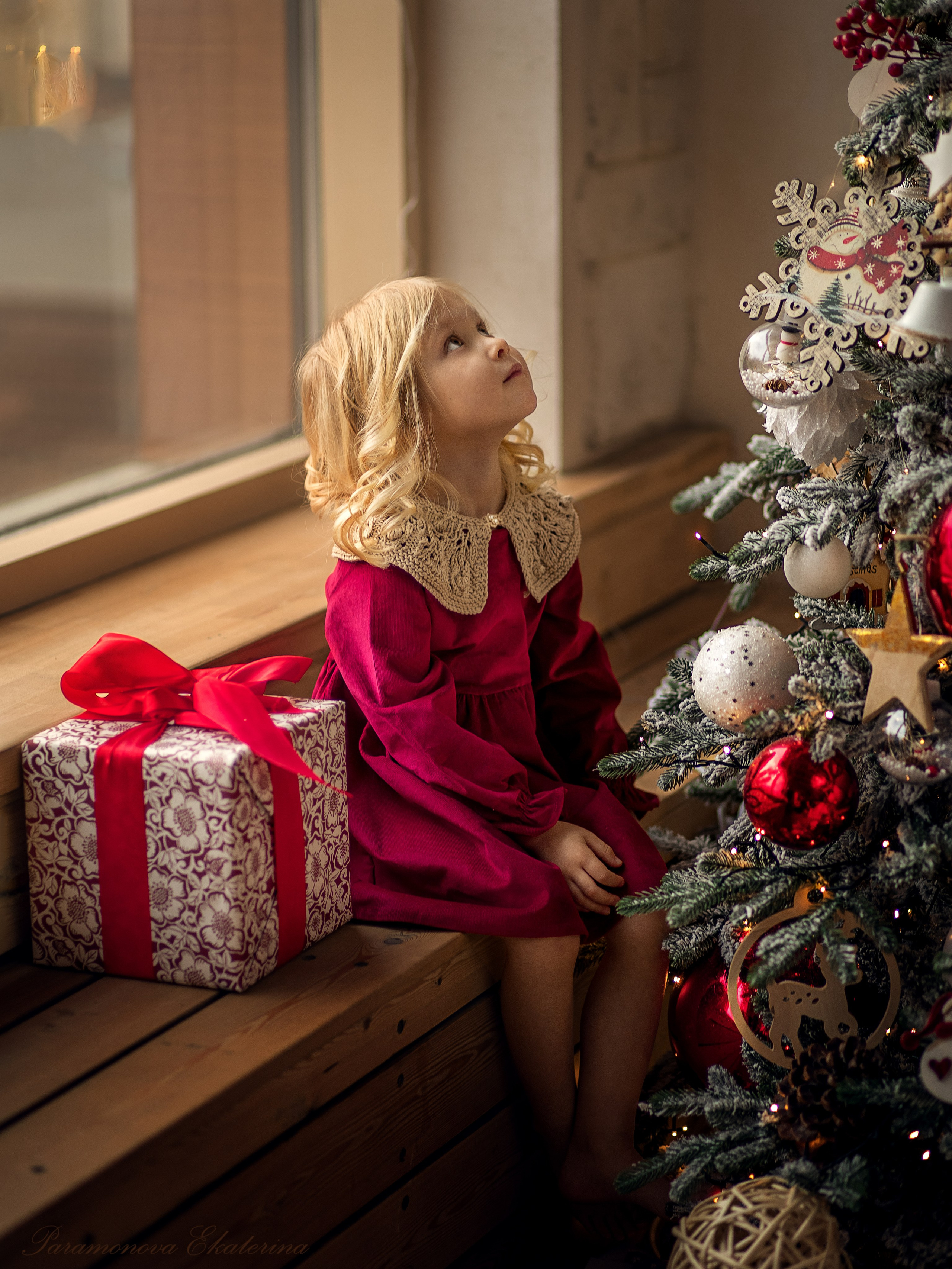 Новогодние котики. Семейный и детский фотограф В Москве Парамонова Екатерина