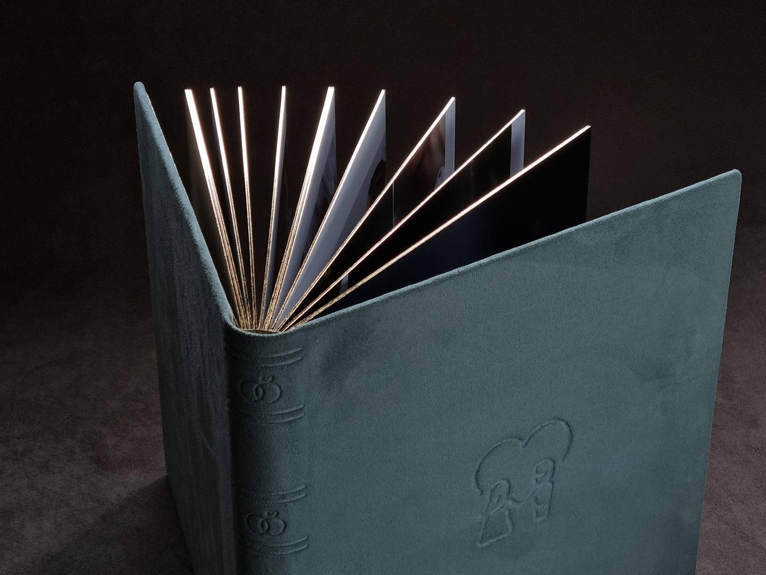 Wedding Book. Свадебный, семейный фотограф в Санкт-Петербурге