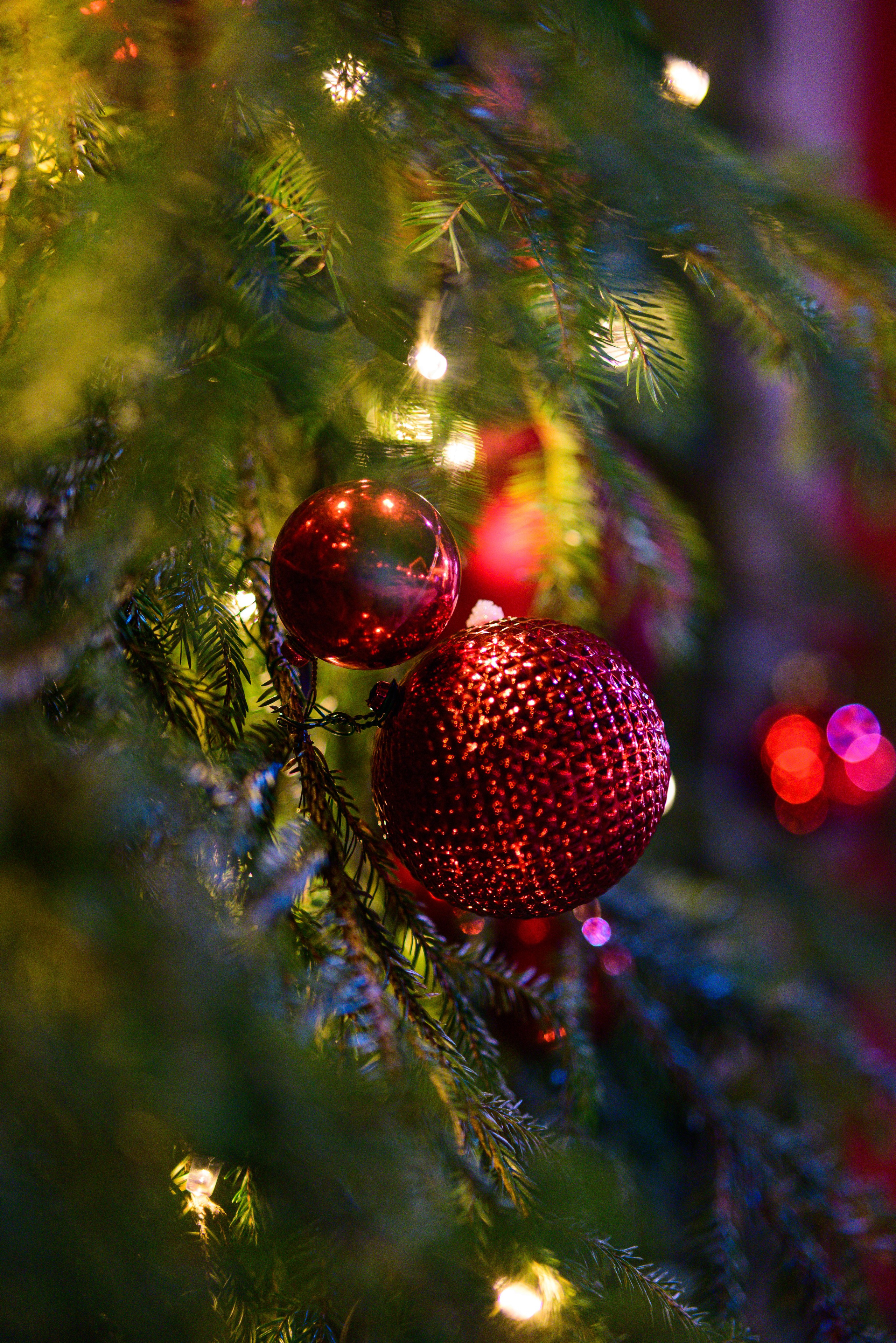 Зимняя Калининградская область. Фотосъемка и видеосъемка в Калининграде Liveemotion.pro