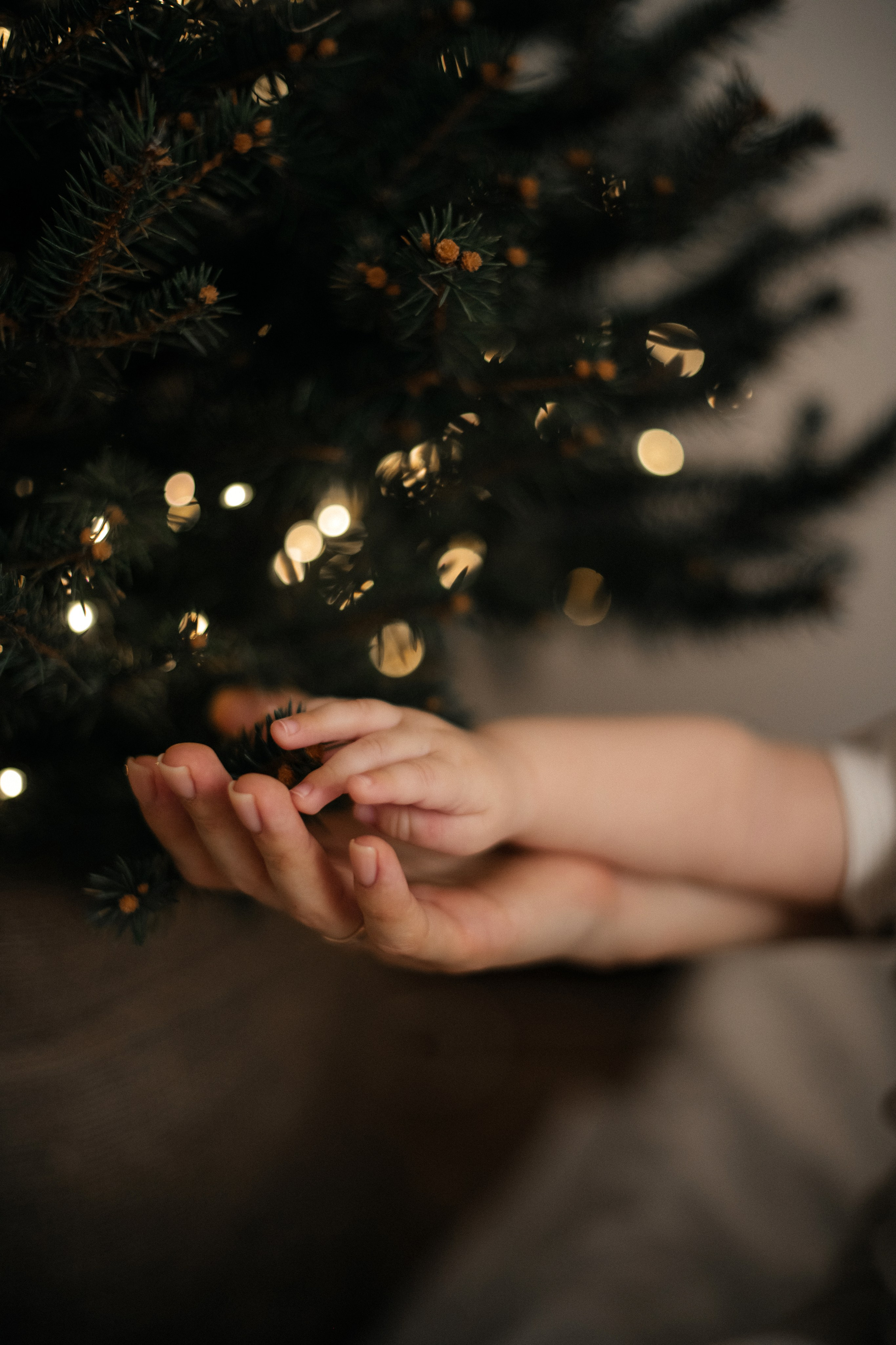 Семейные съемки. Главная