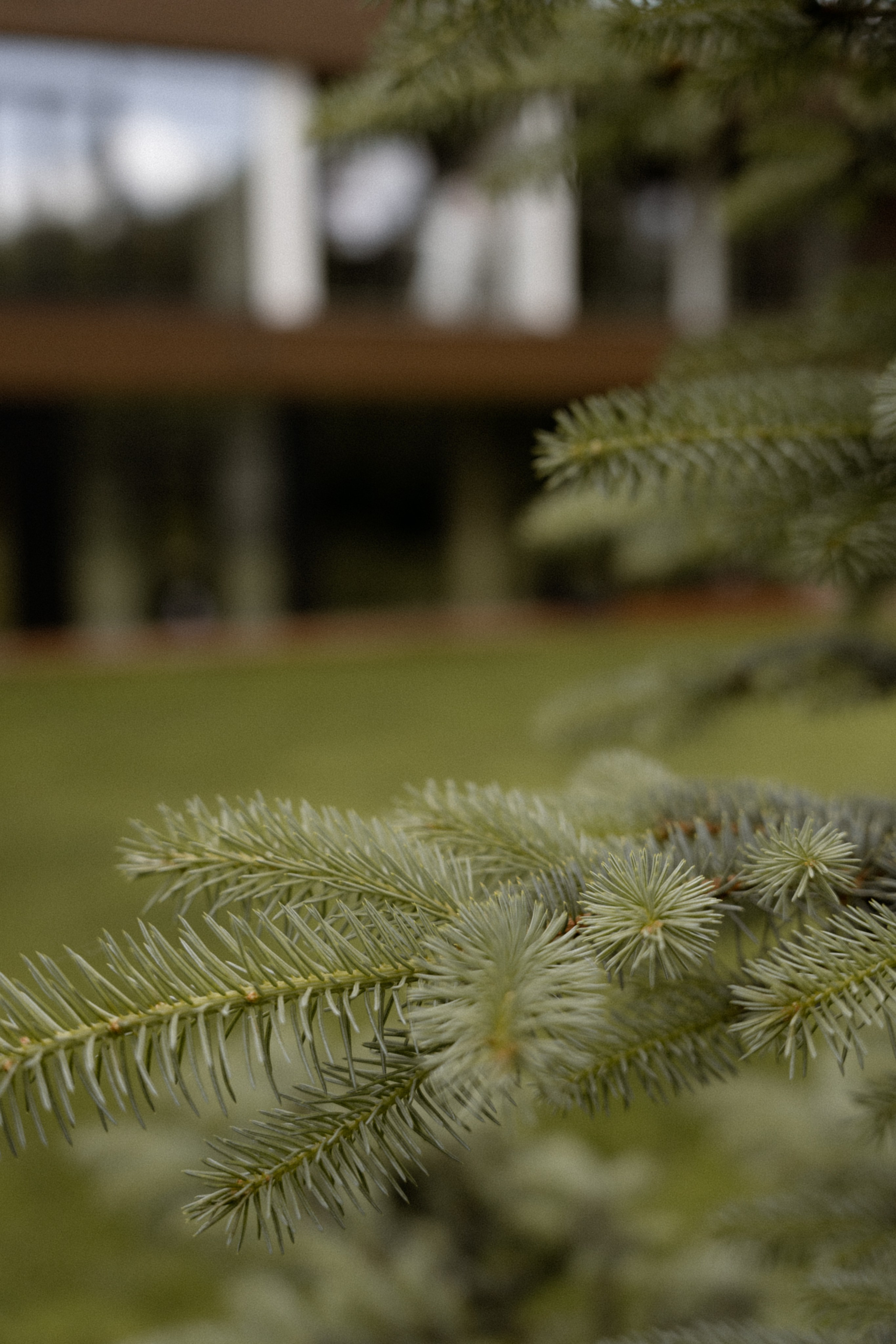 Can't smile without you. Полный день (сокращено). Семейный и портретный фотограф в Саратове Сахарова Маша