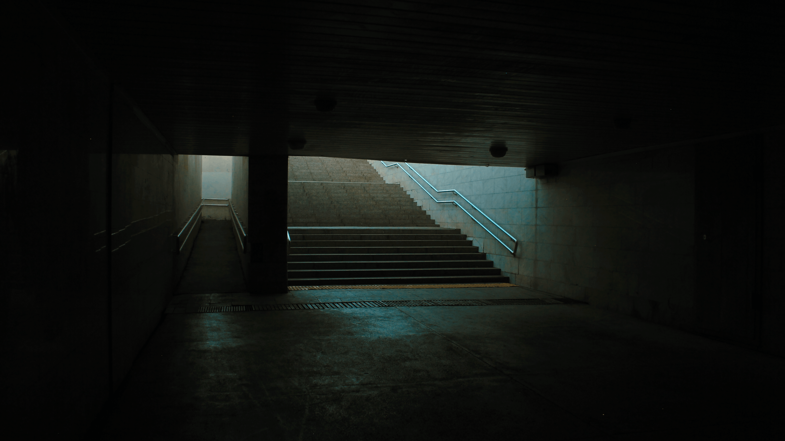 TMN summer '24. Фотограф/дизайнер в Екатеринбурге Хитрый Дмитрий