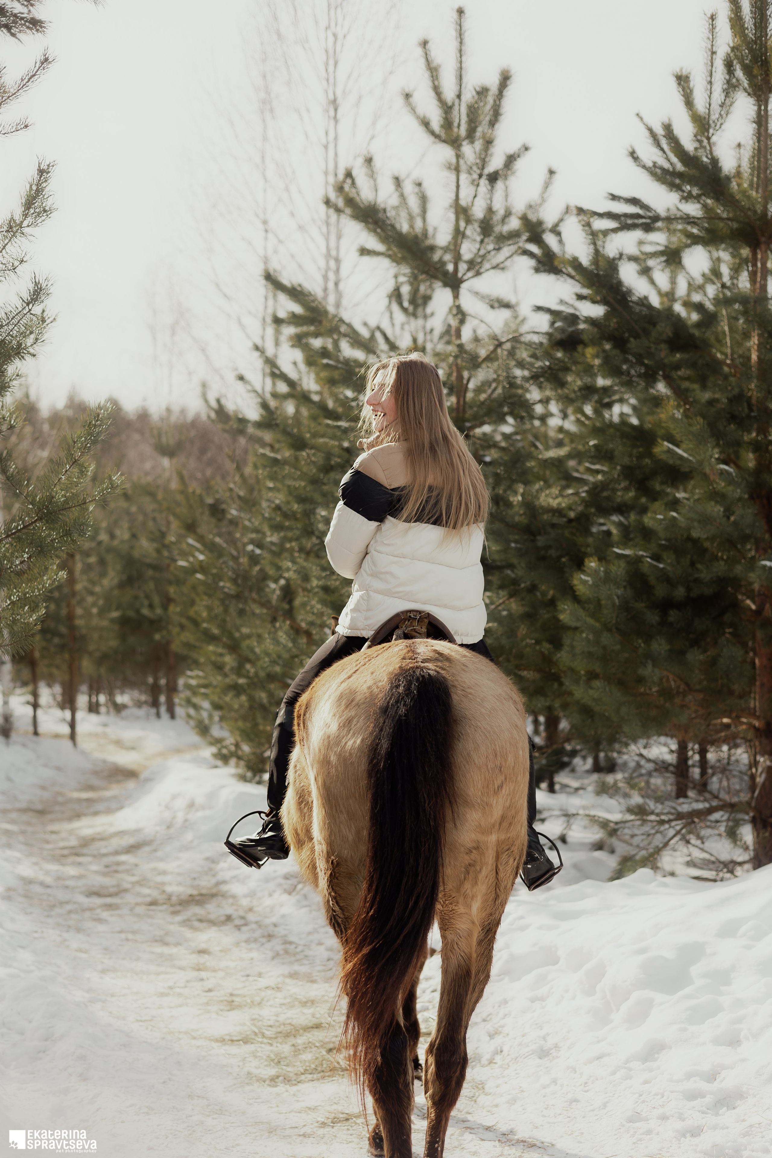 Среди грив и копыт. Фотограф Анималист Екатерина Справцева в Нижнем Новгороде