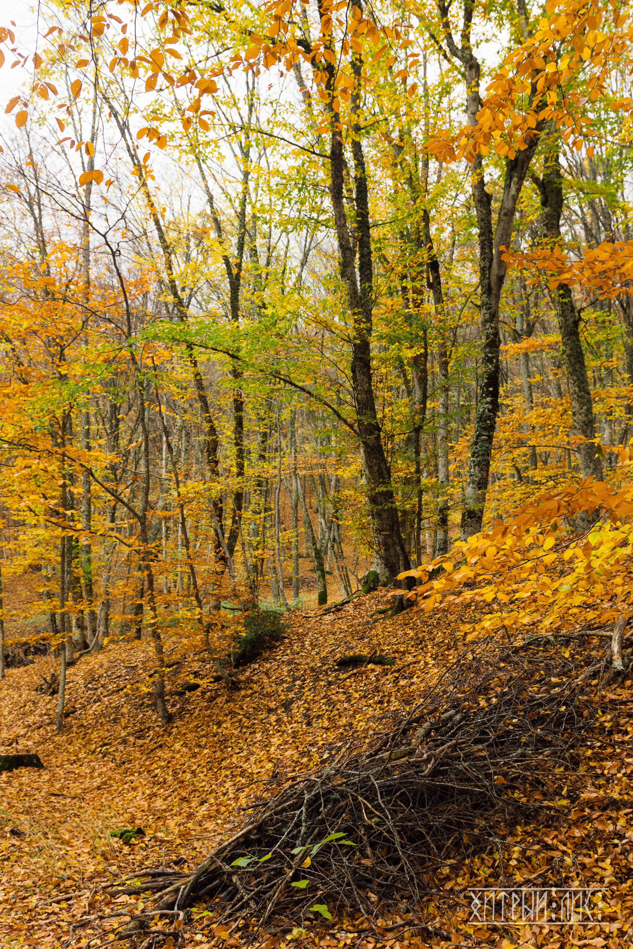 Крым. Фотограф-путешественник Самойлов Максим «Sly Fox»