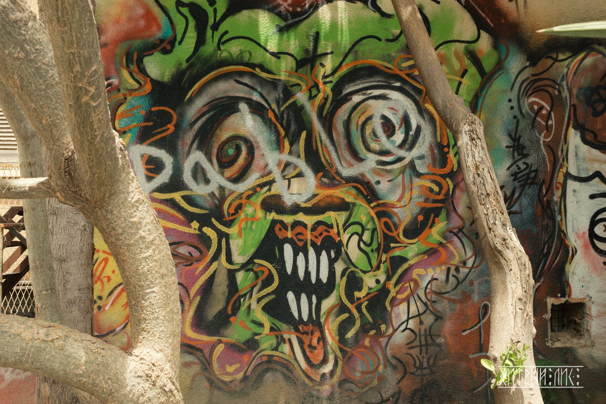 Кипр. Фотограф-путешественник Самойлов Максим «Sly Fox»