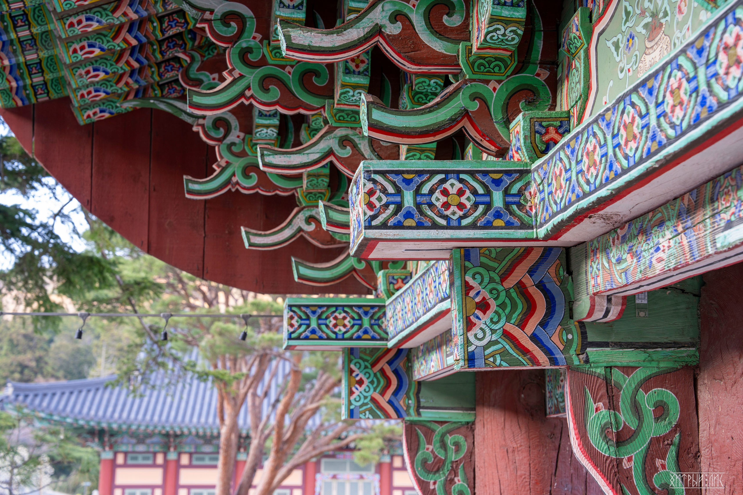 Южная Корея. Фотограф-путешественник Самойлов Максим «Sly Fox»