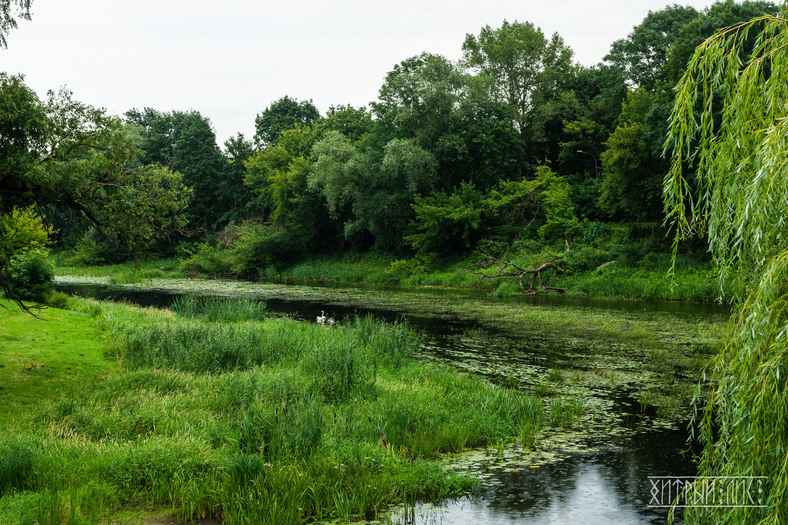 Беларусь. Фотограф-путешественник Самойлов Максим «Sly Fox»