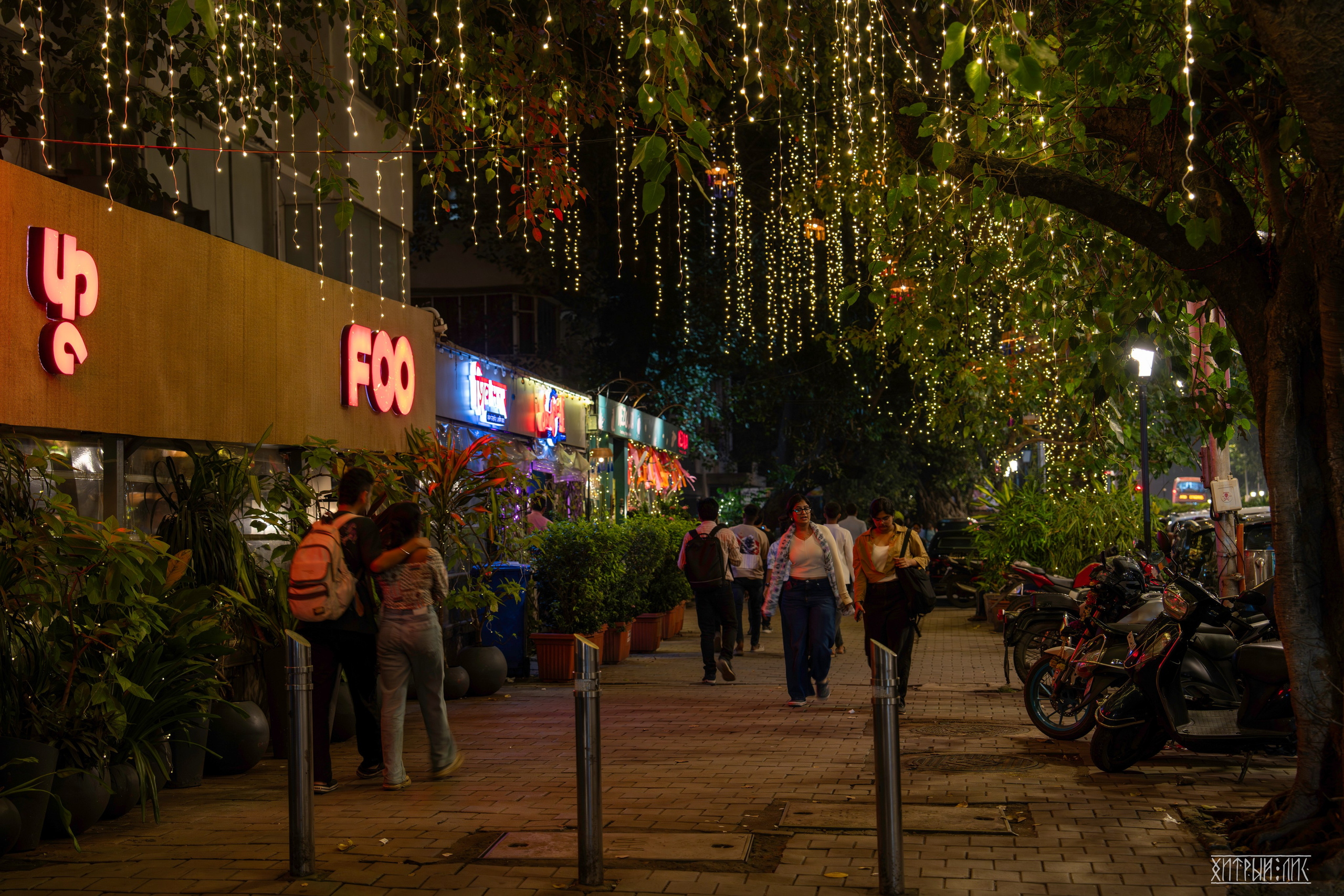 Гоа-Мумбаи. Фотограф-путешественник Самойлов Максим «Sly Fox»