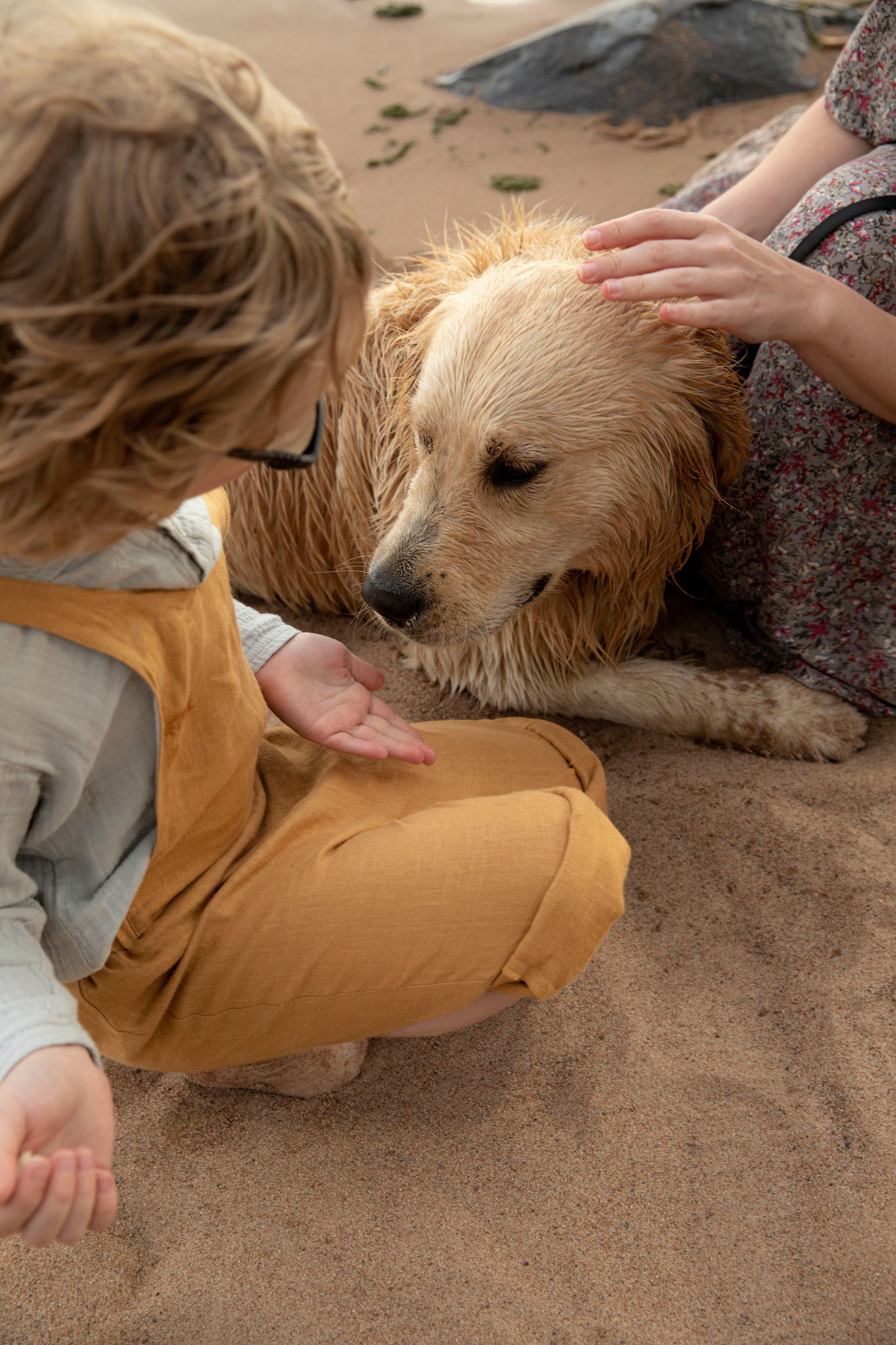 Прогулка на Финском заливе. Семейный и детский фотограф в Санкт-Петербурге Юлия Суркова