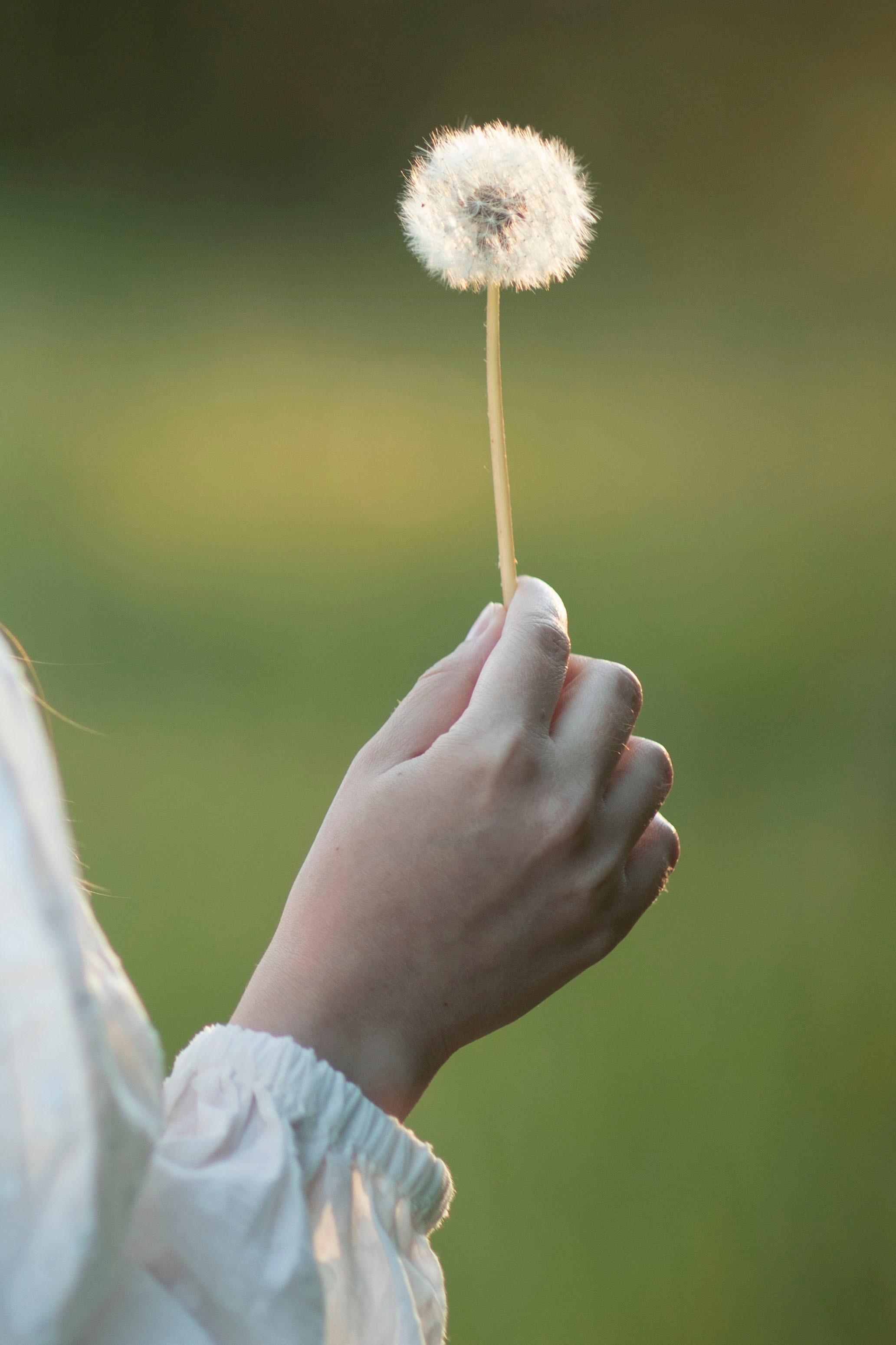 Аня. Семейный и детский фотограф в Санкт-Петербурге Юлия Суркова