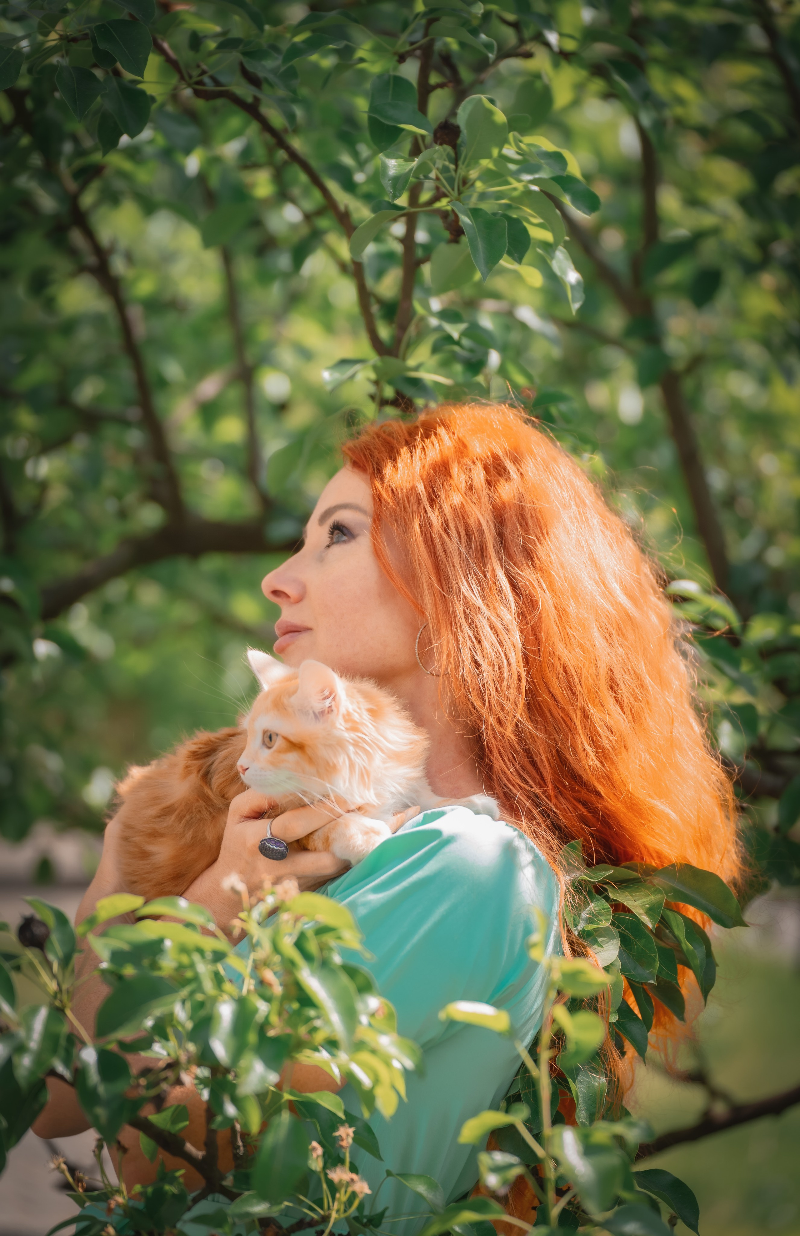 Питомник Курильских бобтейлов. Фотограф в Москве Ленарская Дарья