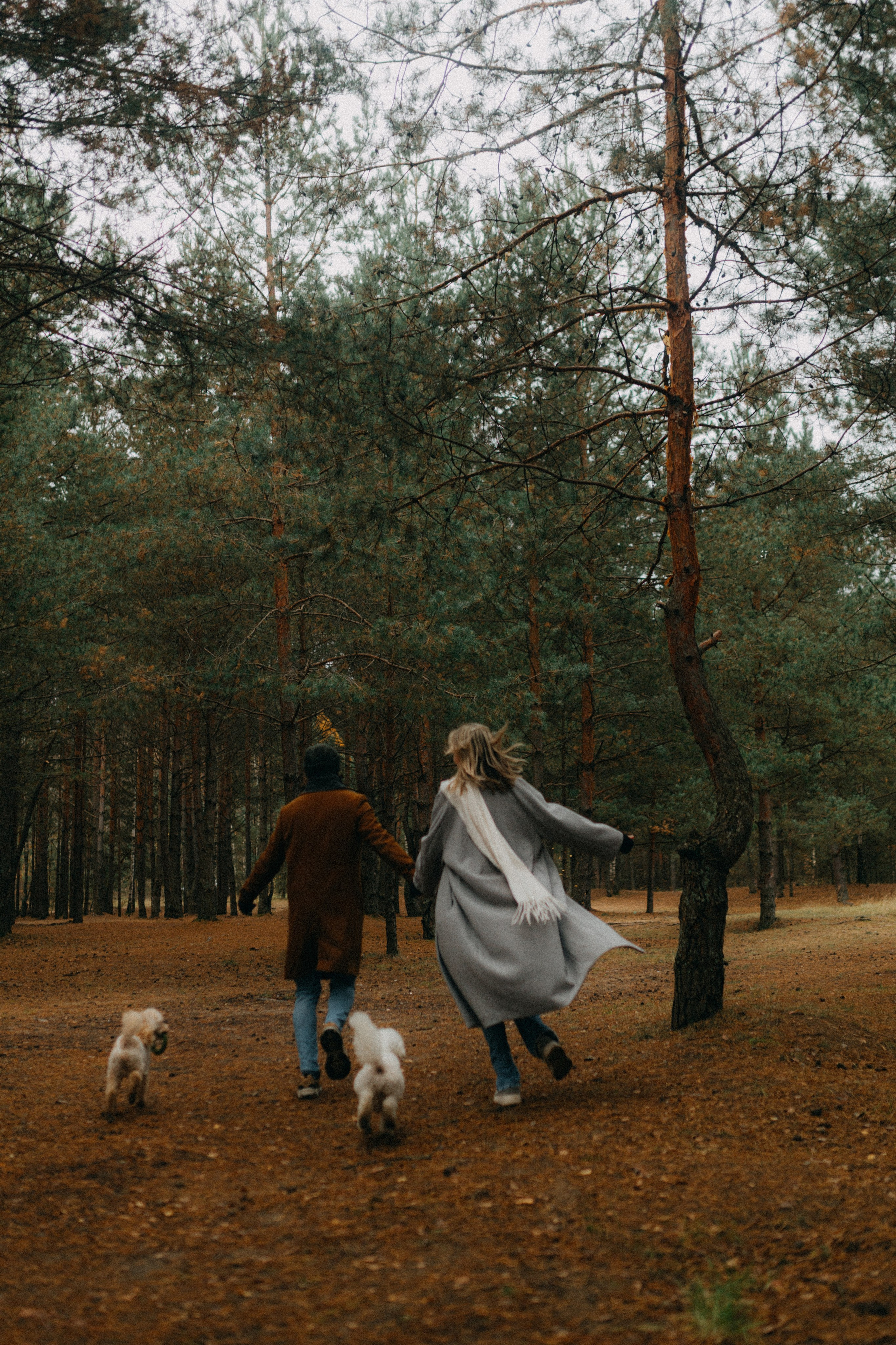 Лена & Миша. Фотограф НОГИНСК, Москва, Анастасия Белая