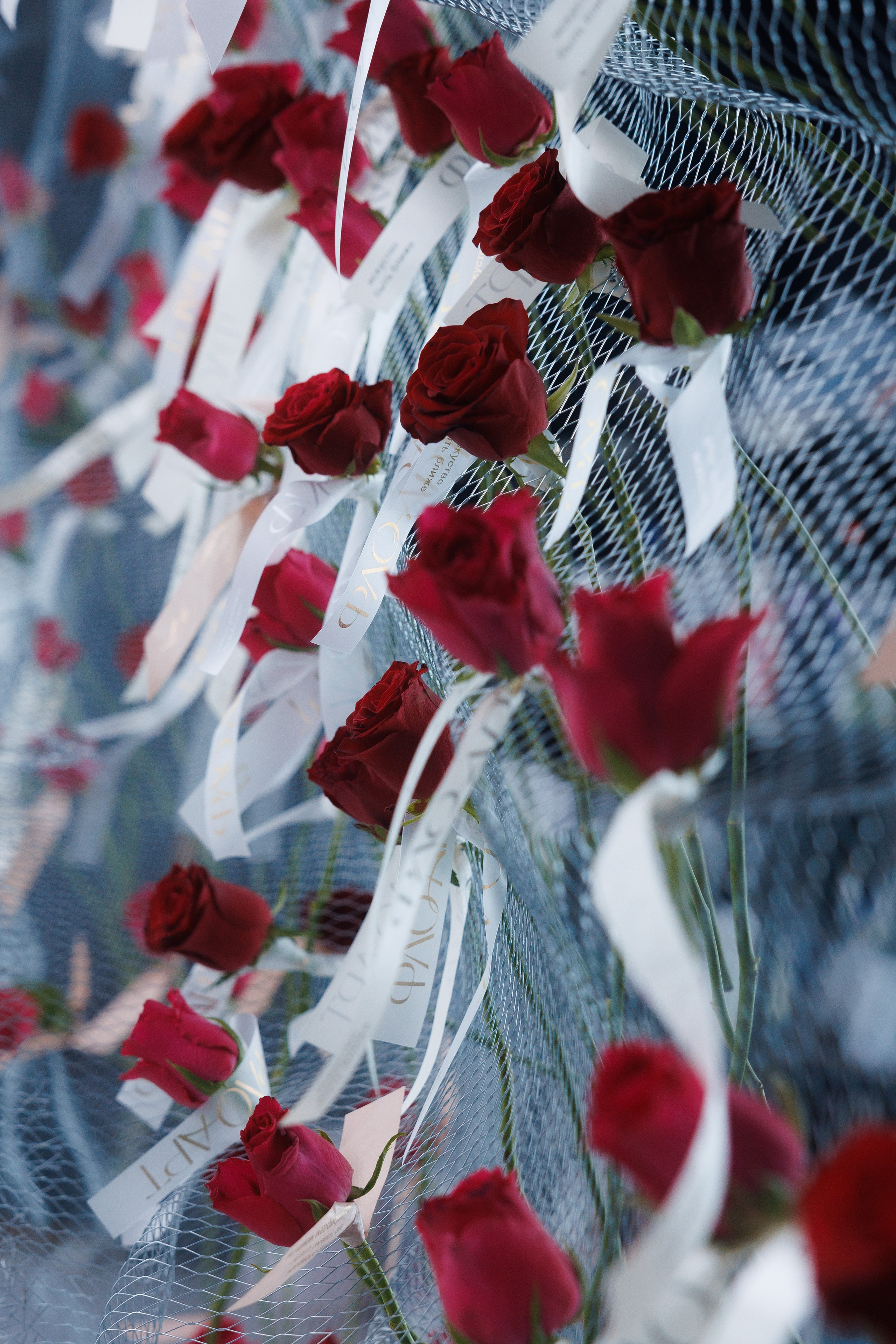 Мгновения. Андрей Риттер Репортажный идейный портретный фотограф Сахалина