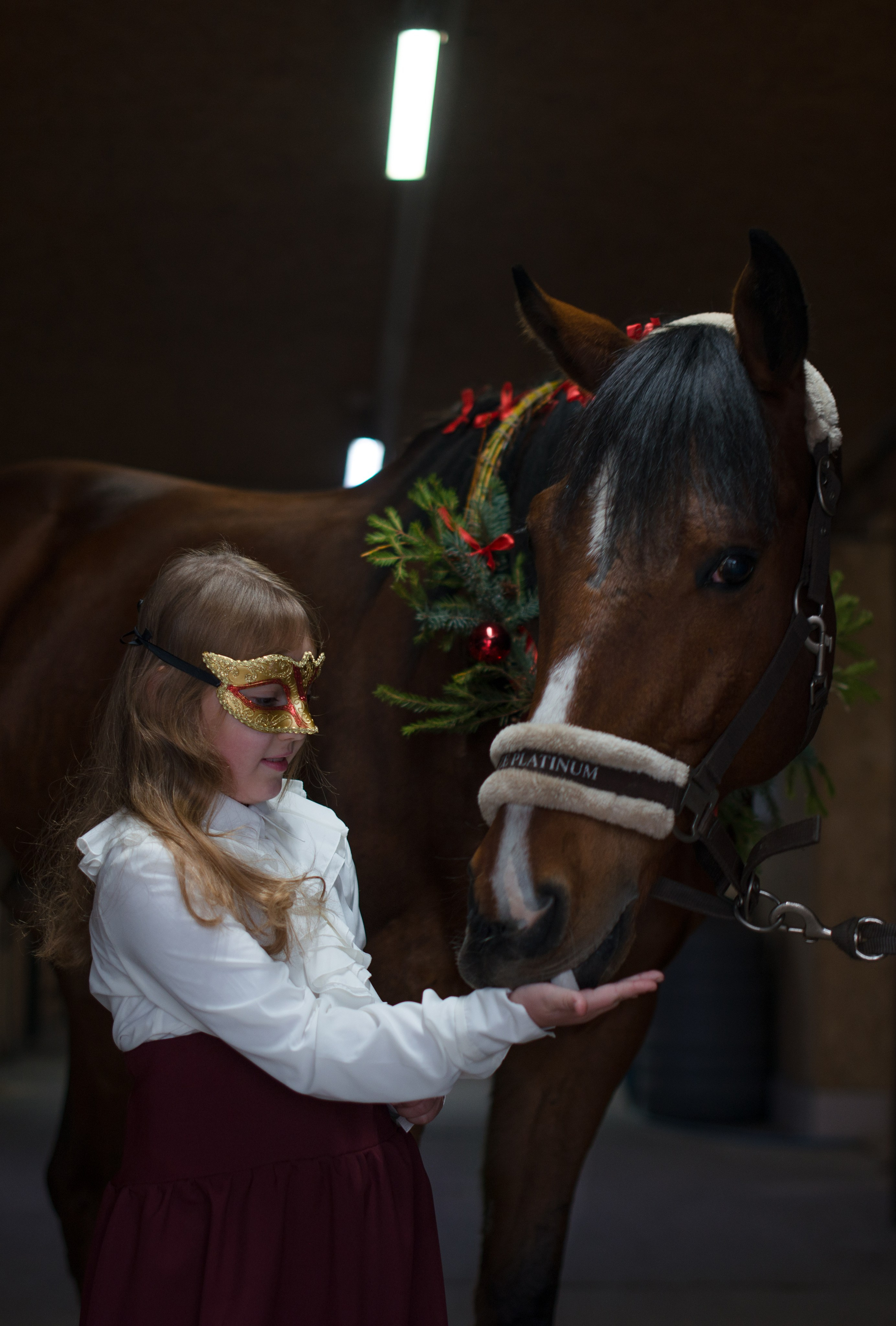 Дети и лошади. Конный фотограф в Саратове Юлия Иванова