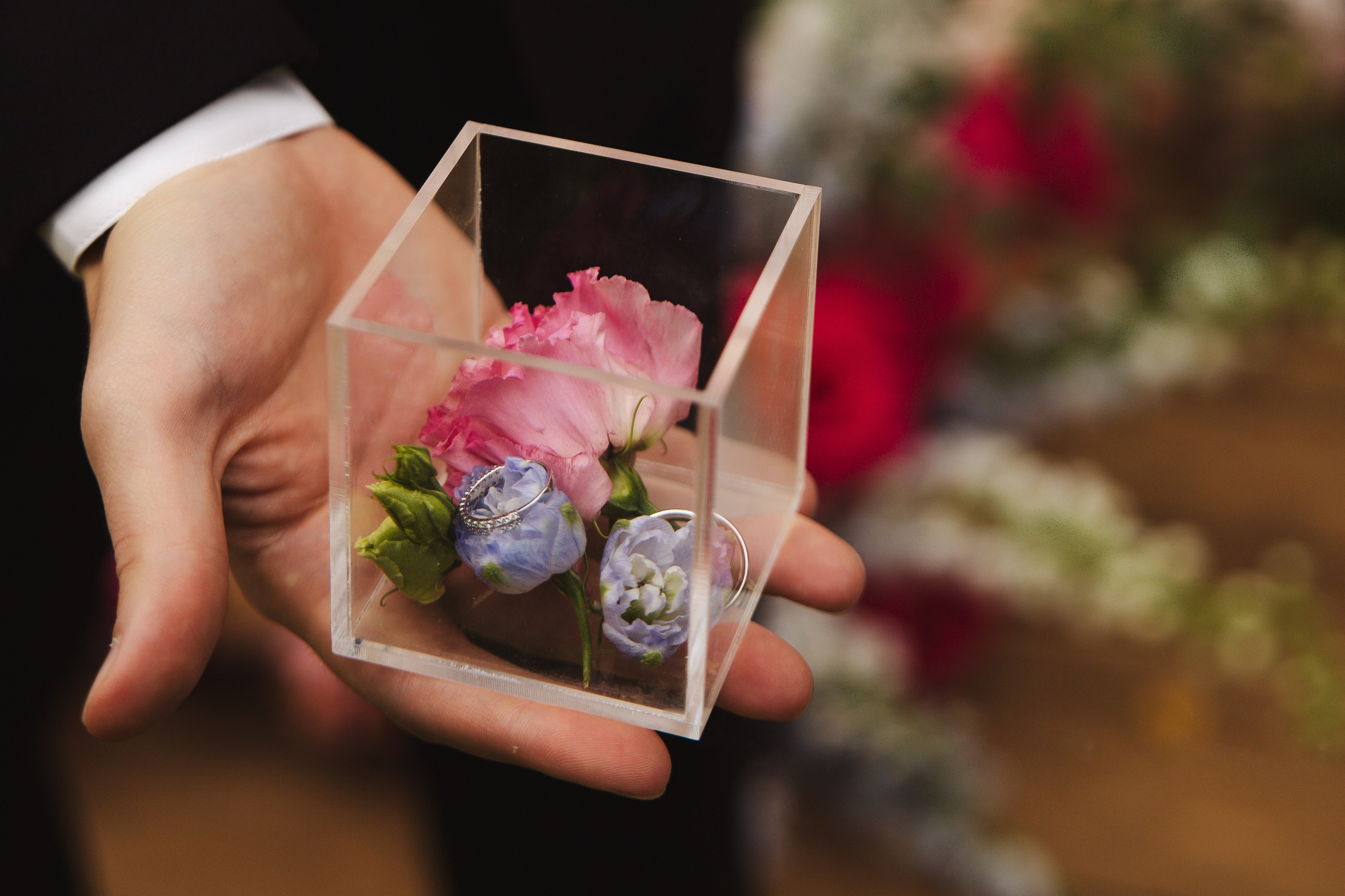 Александр & Сарвиназ