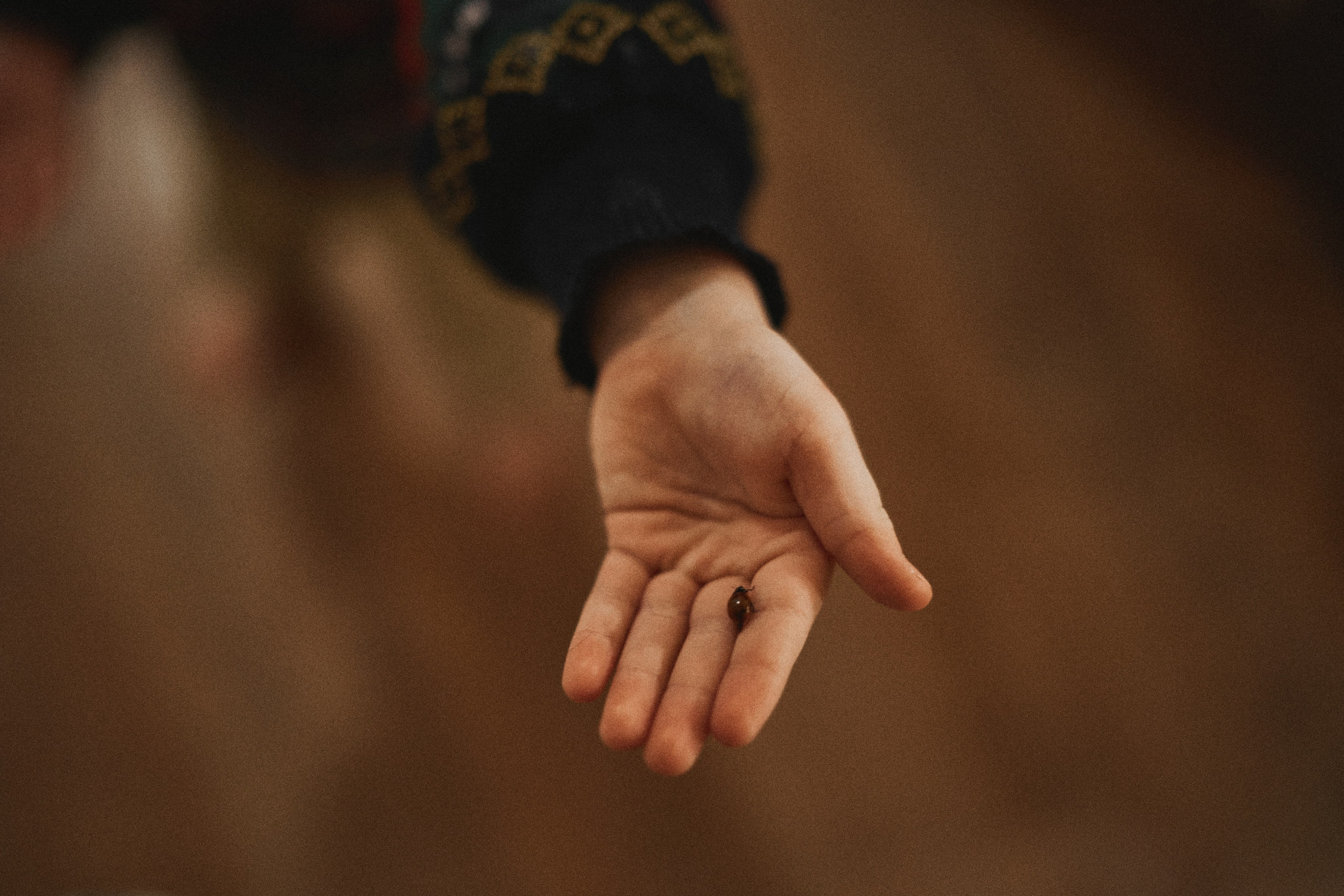 В ожидании Нового Года. Фотограф в Санкт-Петербурге | Аня Маленчук