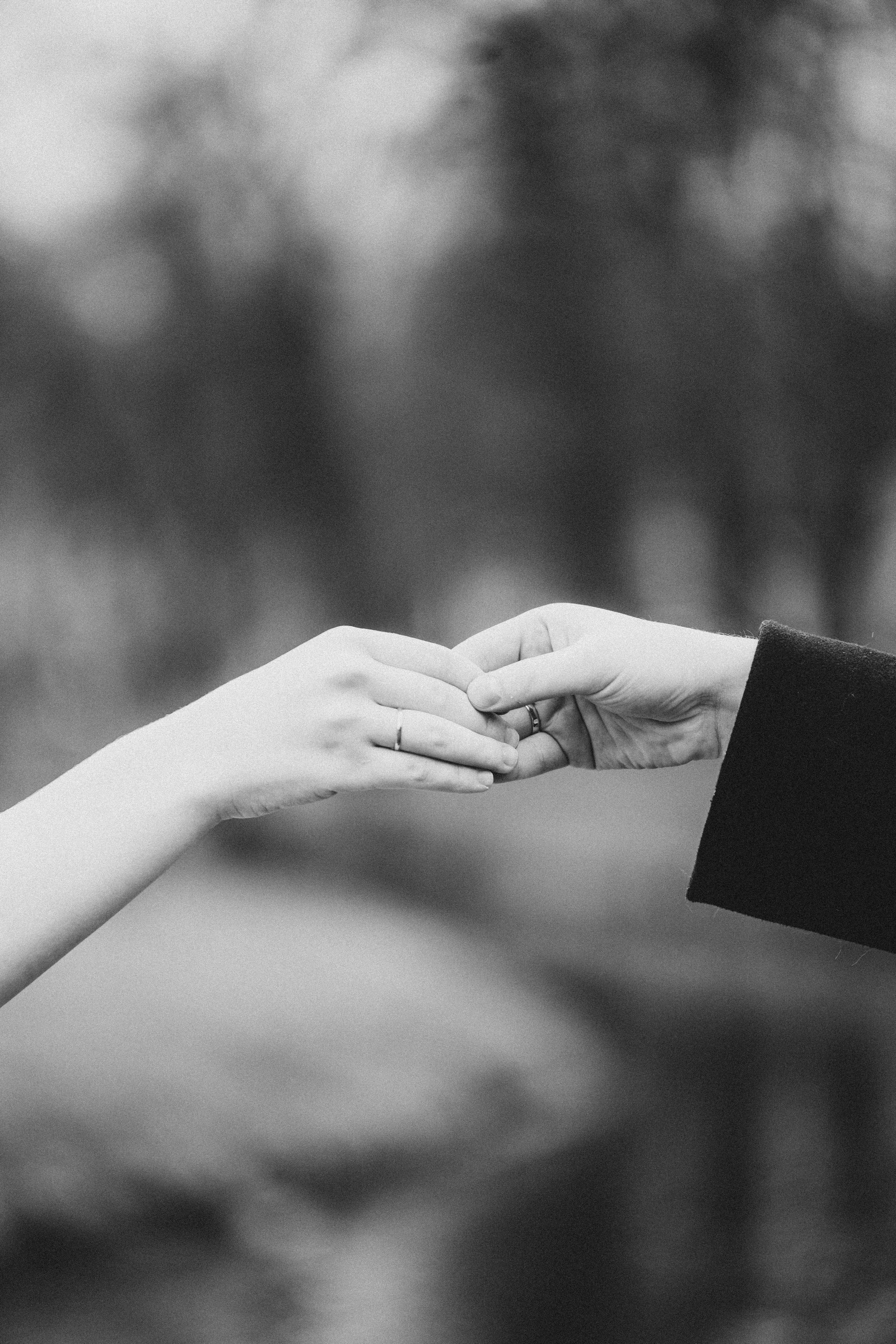 СВАДЕБНАЯ ВО ВТОРОМ ДВОРЦЕ И ПРОГУЛКА В ТАВРИЧЕСКОМ САДУ ЧБ. Профессиональный фотограф, Санкт-Петербург — Виктория Богомолова