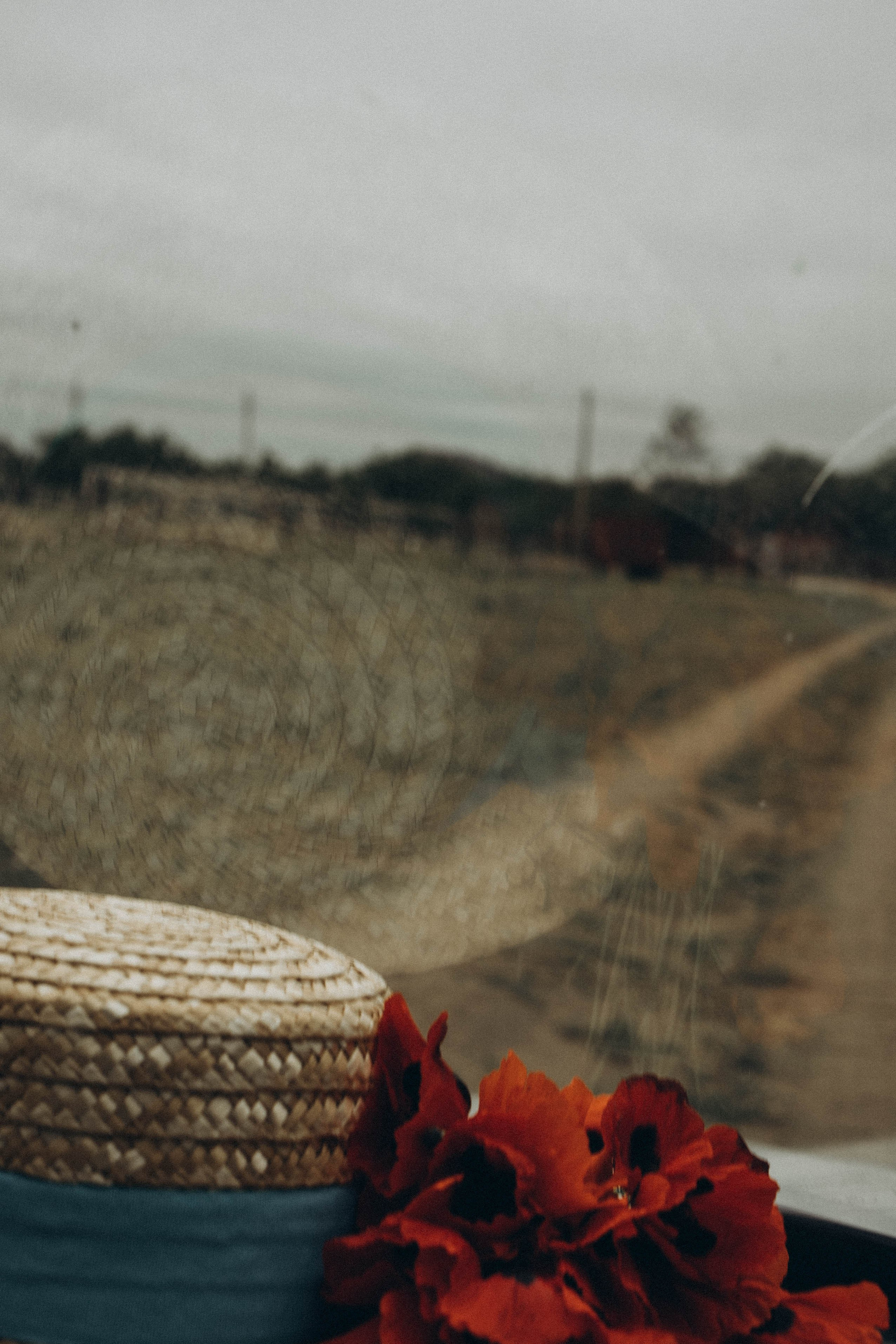 Кавказ. Профессиональный фотограф, Санкт-Петербург — Виктория Богомолова