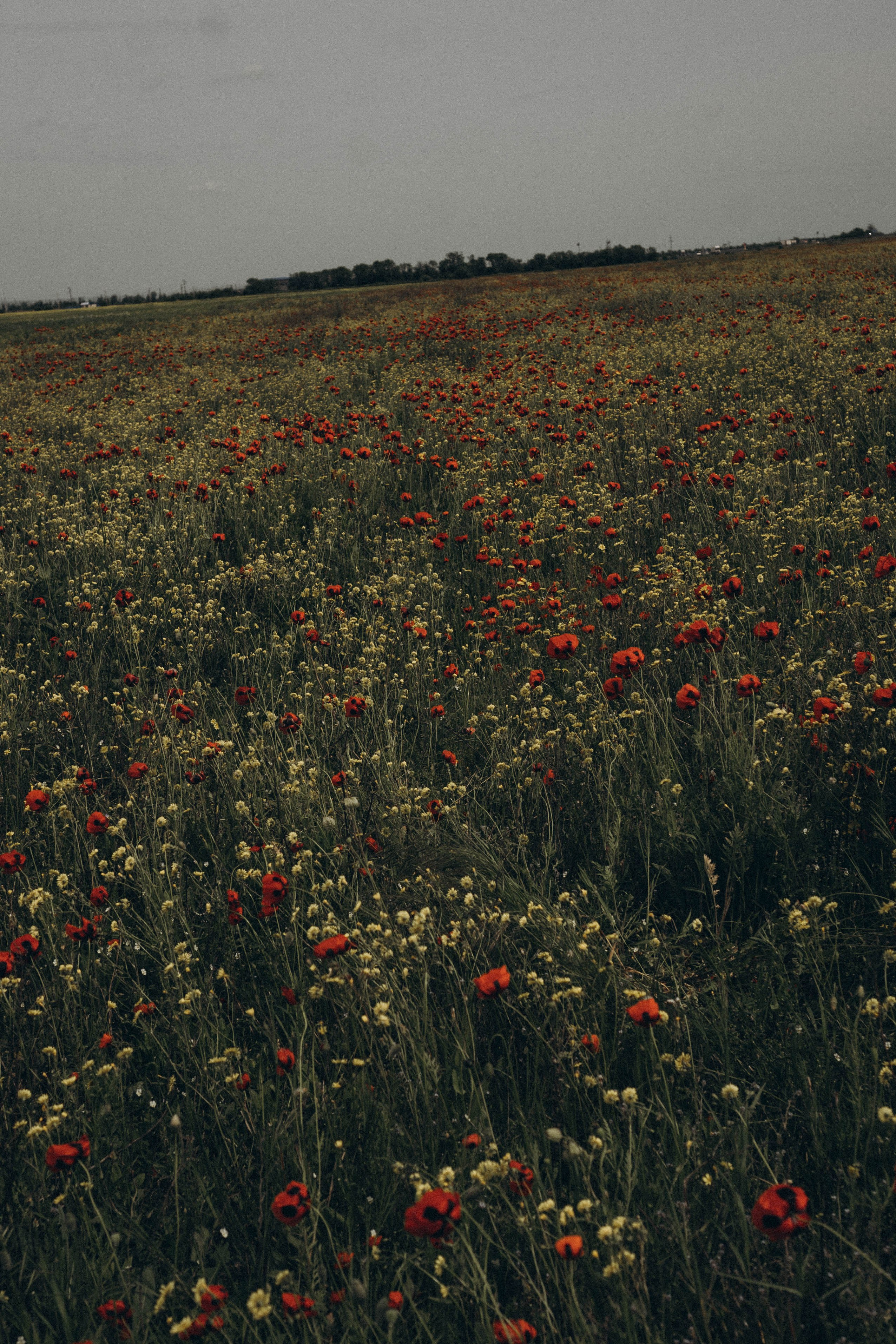 Путешествие в Дагестане. Профессиональный фотограф, Санкт-Петербург — Виктория Богомолова