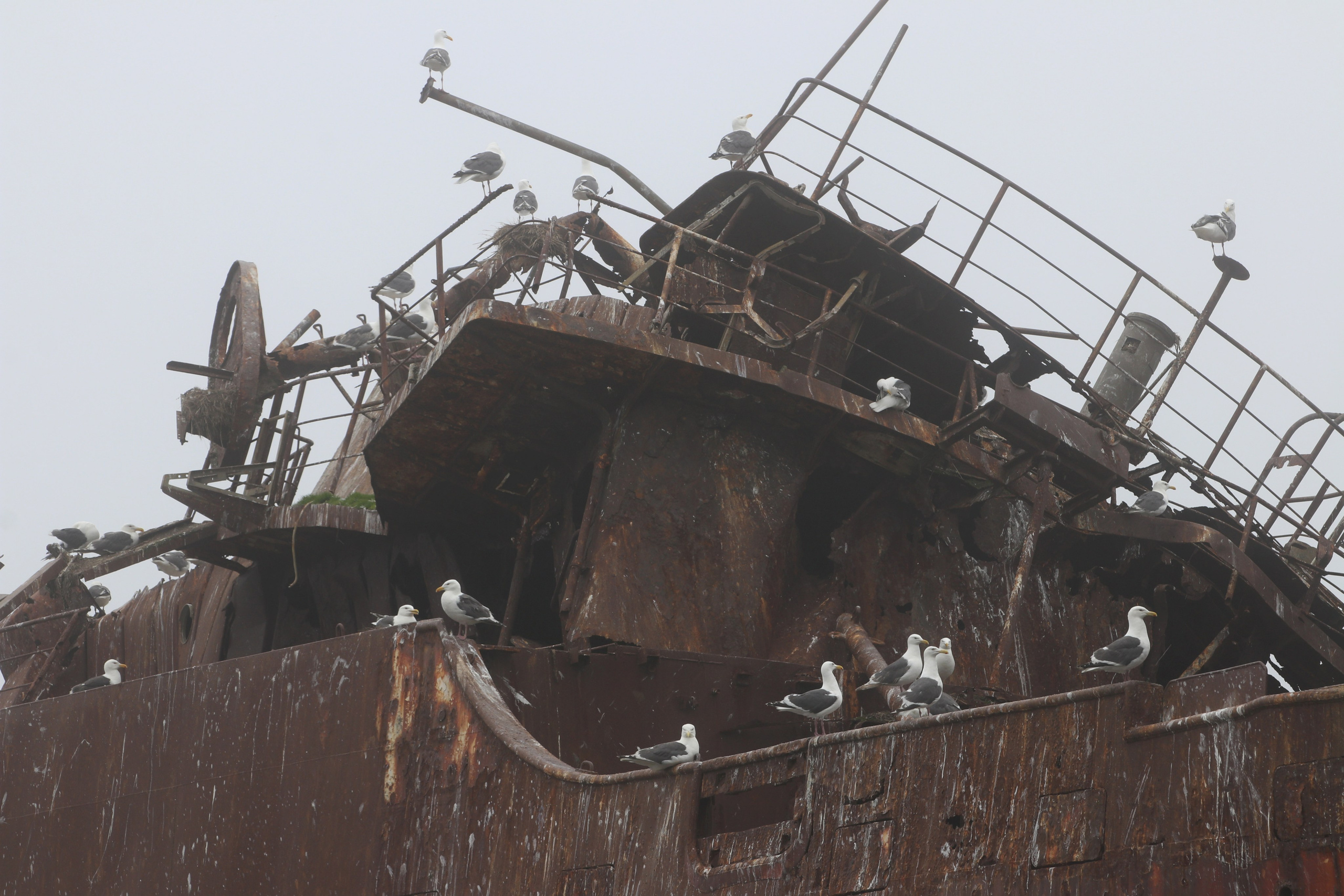 Камчатка и о. Парамушир. Июль 2024. Путешественник-фотограф из Санкт-Петербурга Татьяна Свистулина