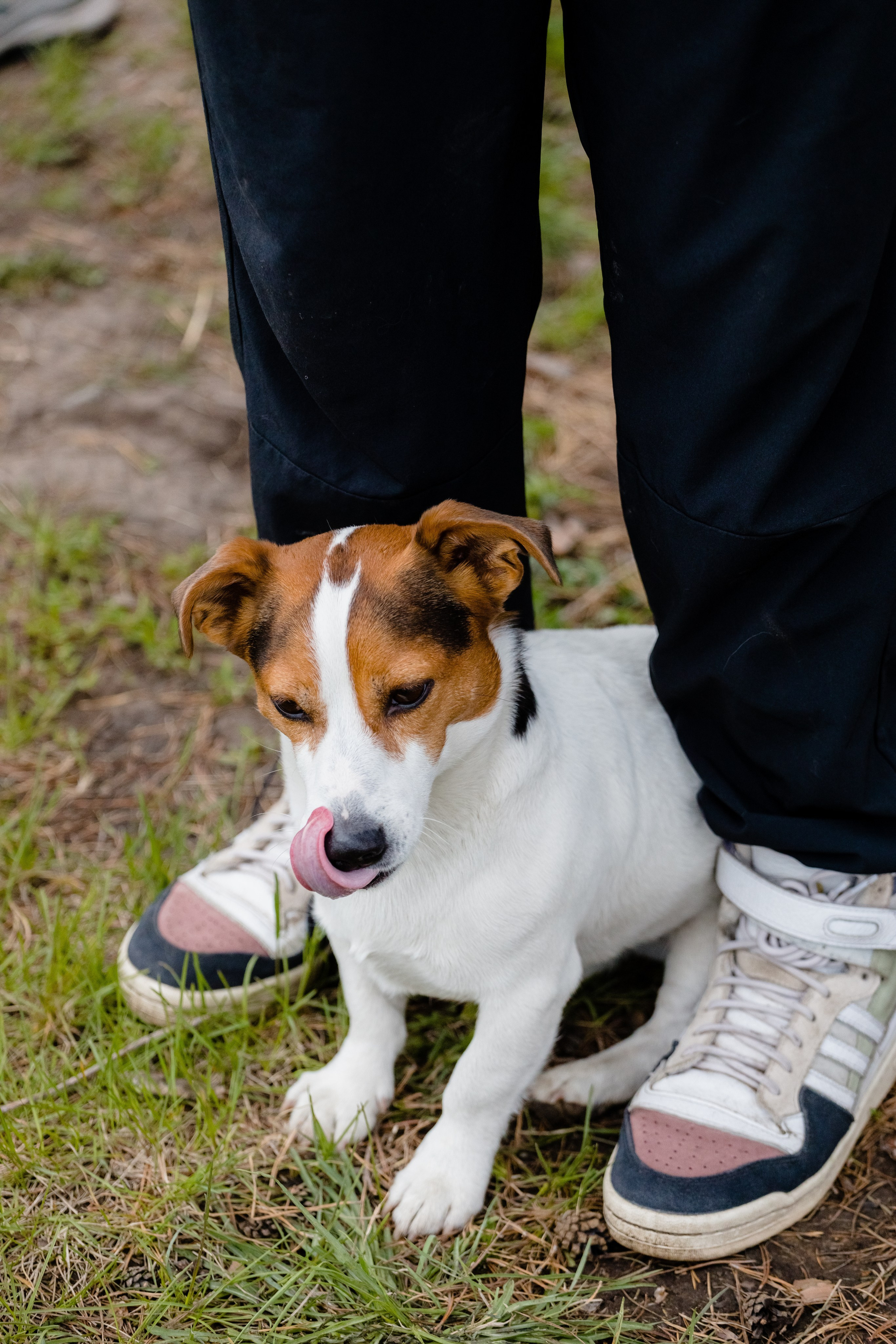 МЕГА | Фестиваль. Свадебный и репортажный фотограф в Омске. Червоткин Никита
