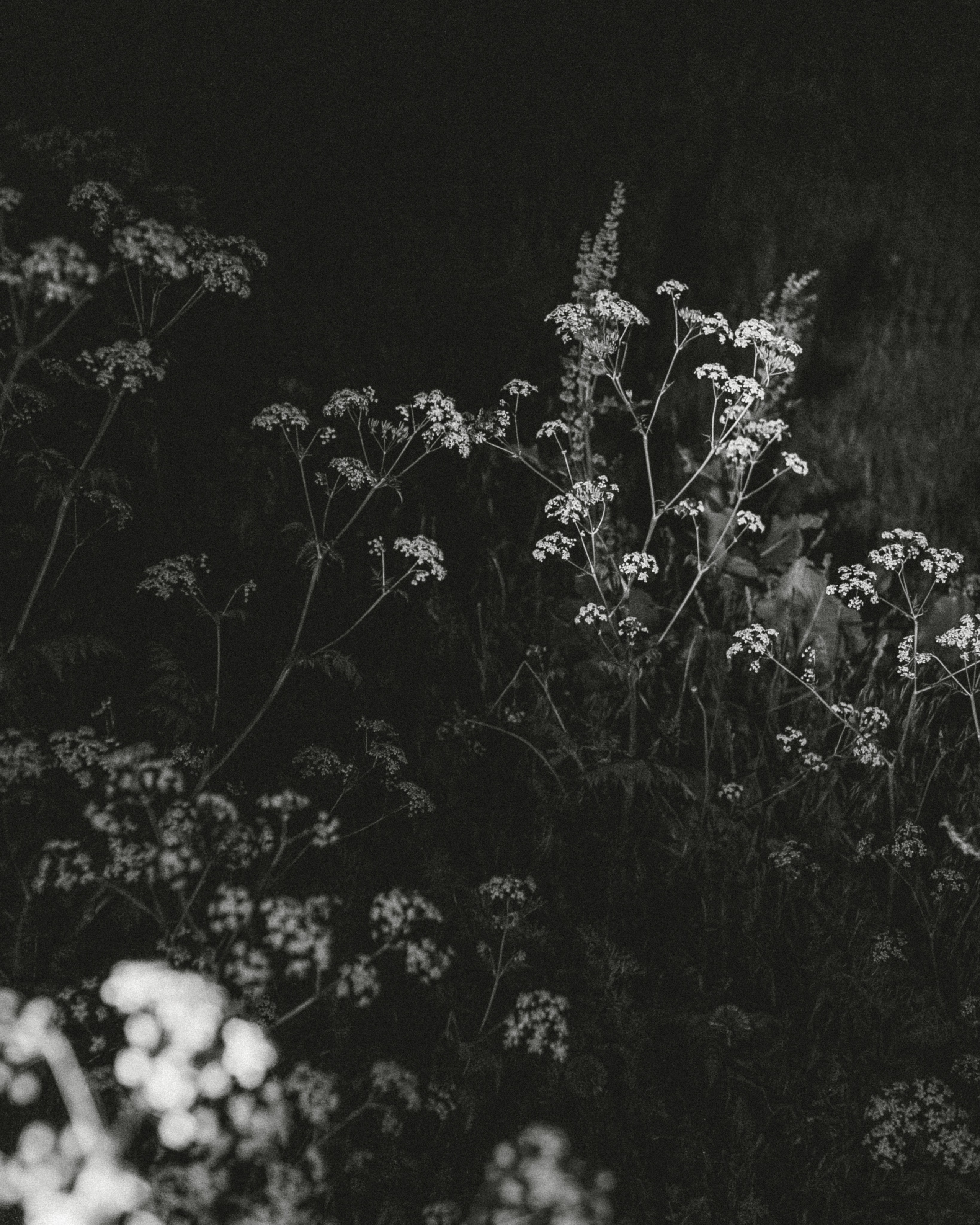 Фотограф Надя Доркина