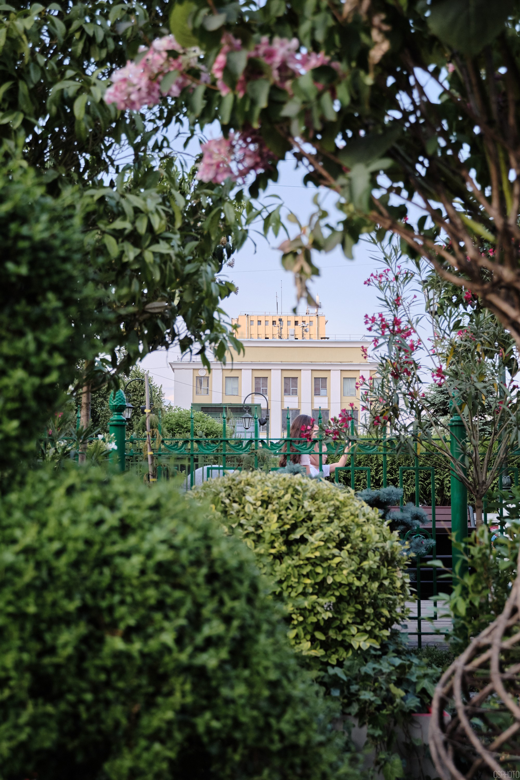 Бульвары для всех l Лето в Москве. Фотографъ Сергѣевъ. Поймать мгновеніе